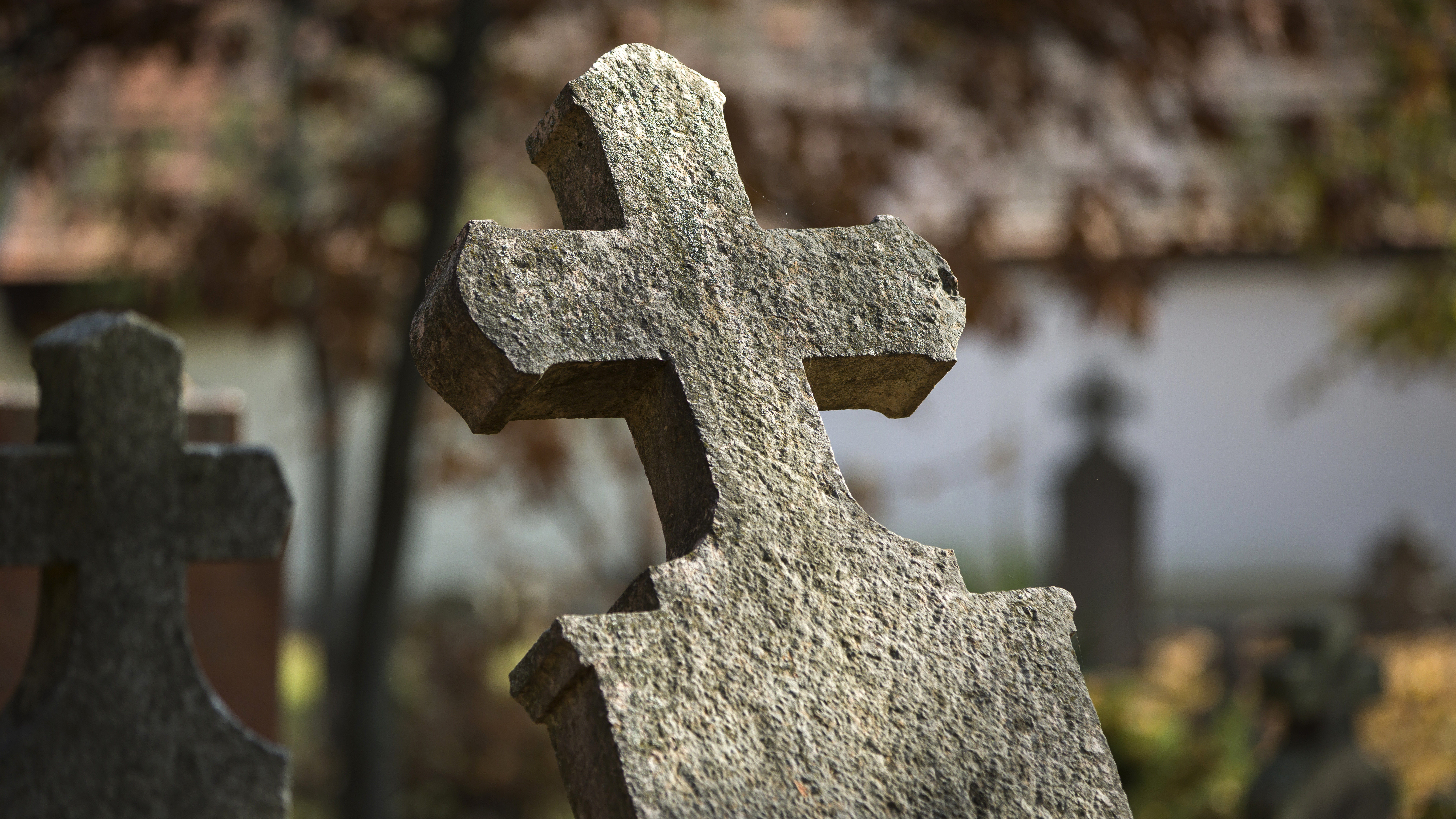 Szentendrei polgármester: A kormányhivatal feladata ellenőrizni a temetőket