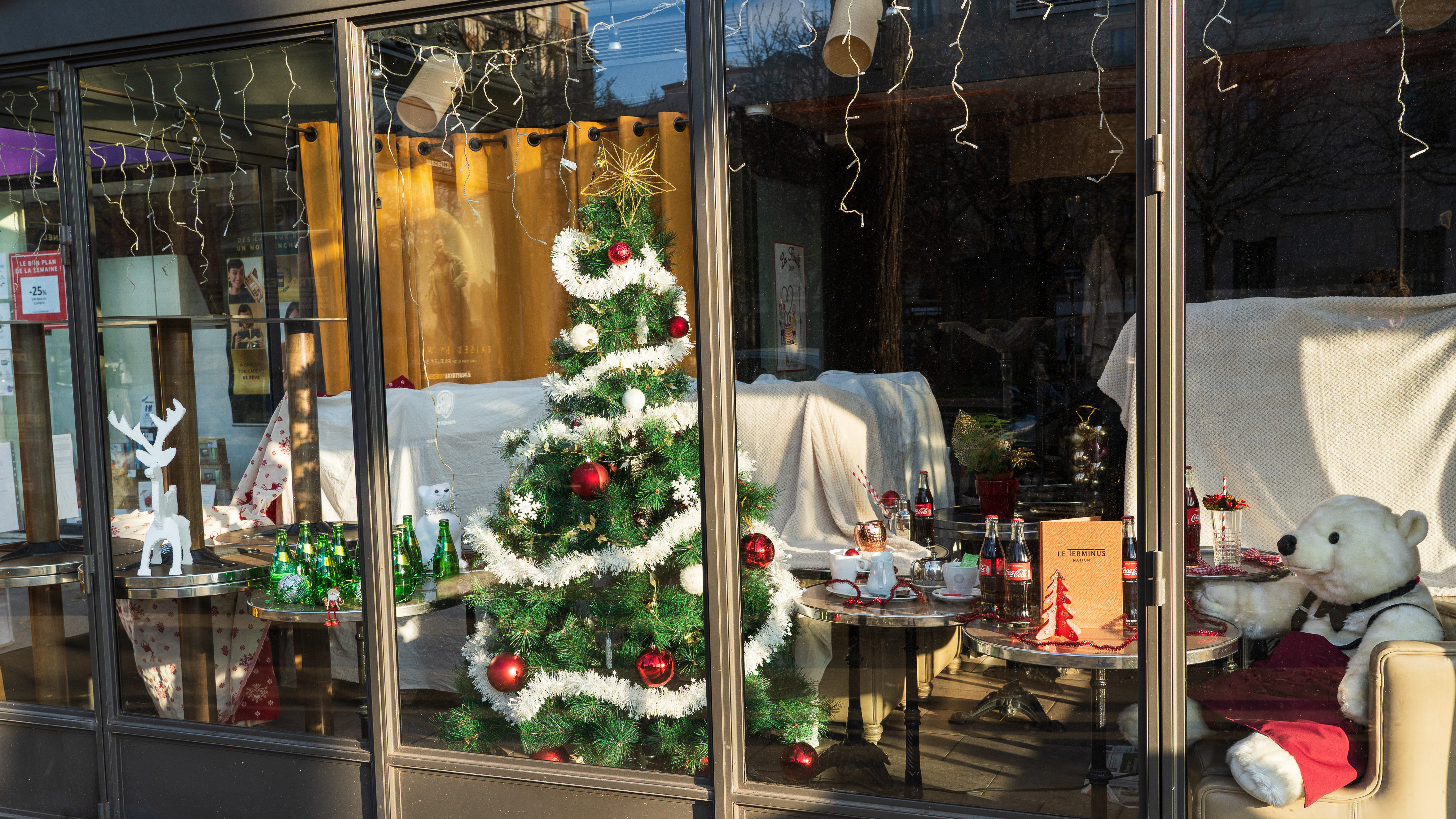 Bezár a párizsi madárpiac