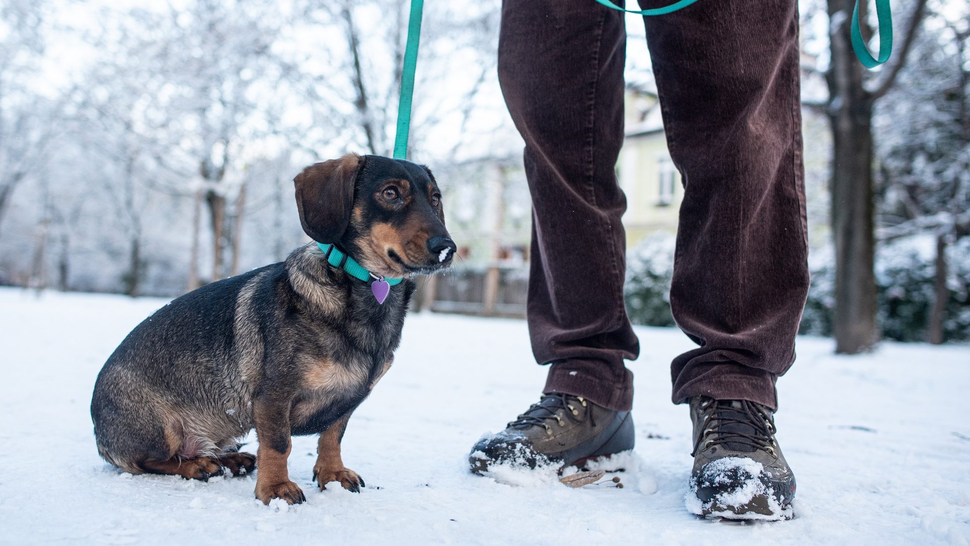 -20 foknál is hidegebb lehet pénteken és szombaton reggel