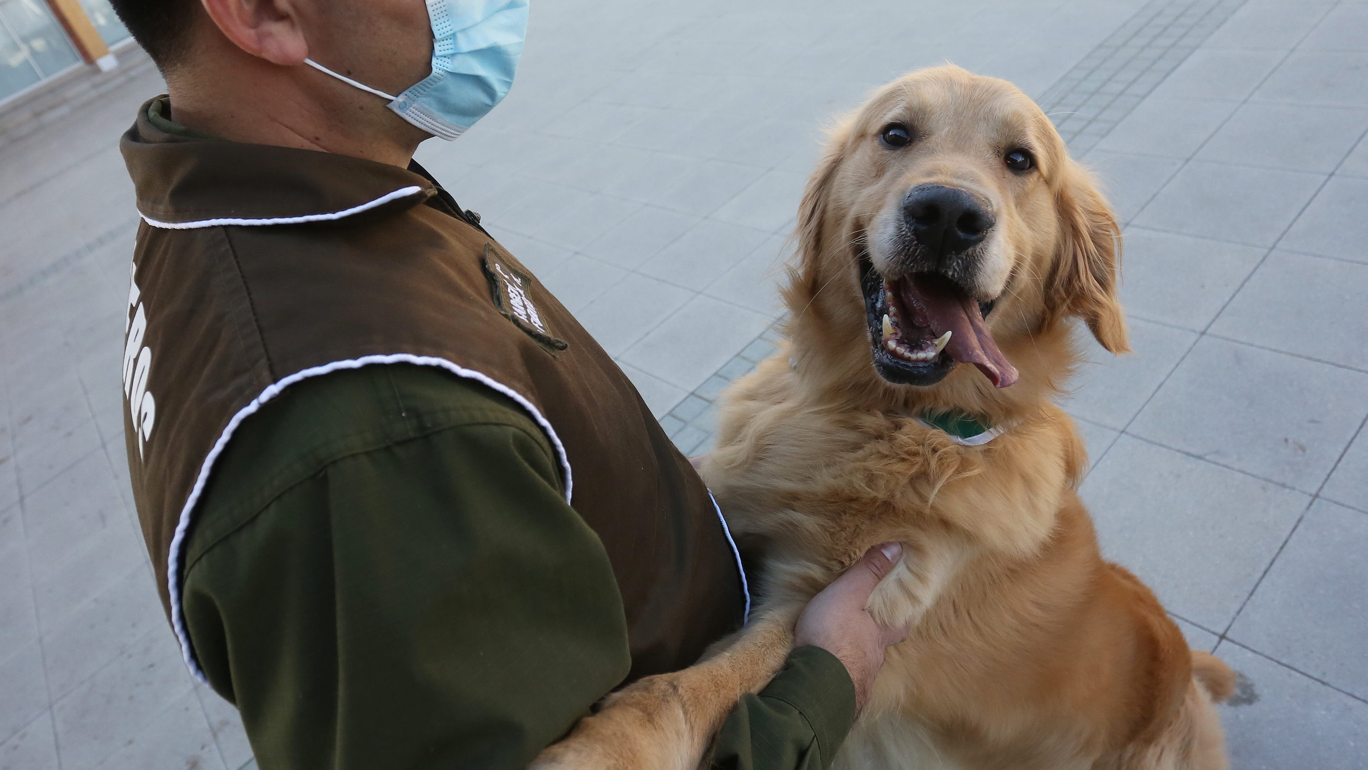 Két túrázó ír orvos megmentett egy eltévedt kutyát, őket jelentették fel a karanténszabályok megszegése miatt