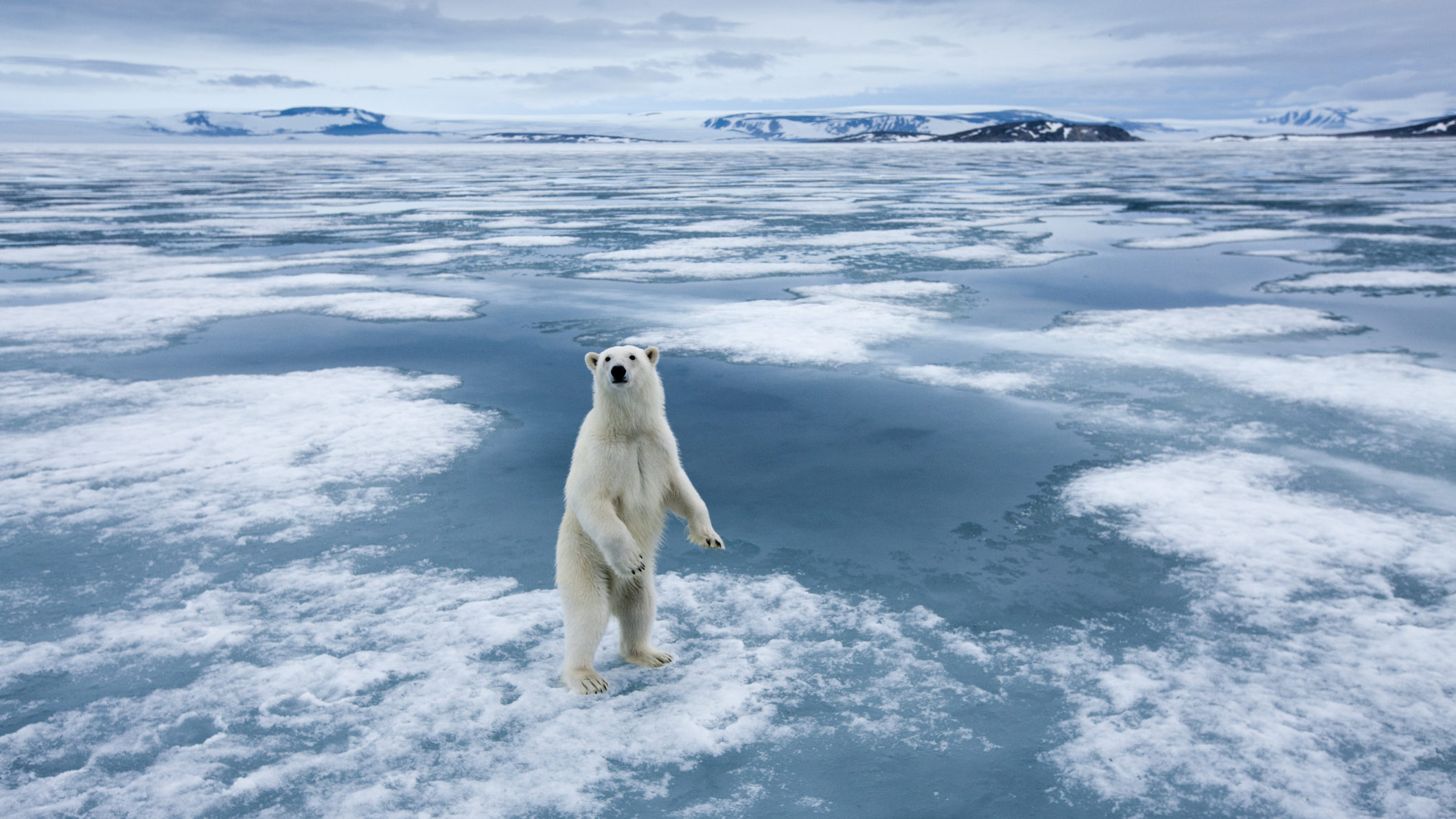 Meglepő következménye van az északi-sarki jég olvadásának