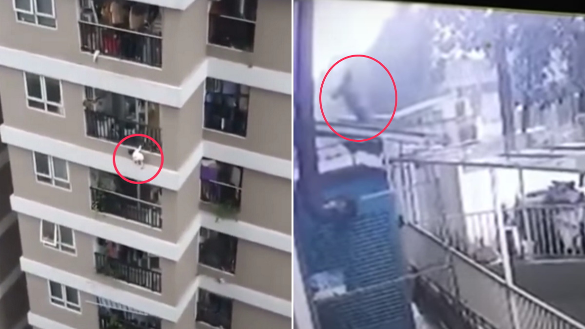 Videón, ahogy kiesik a 12. emeletről egy kétéves gyerek – és ahogy elkapja egy férfi