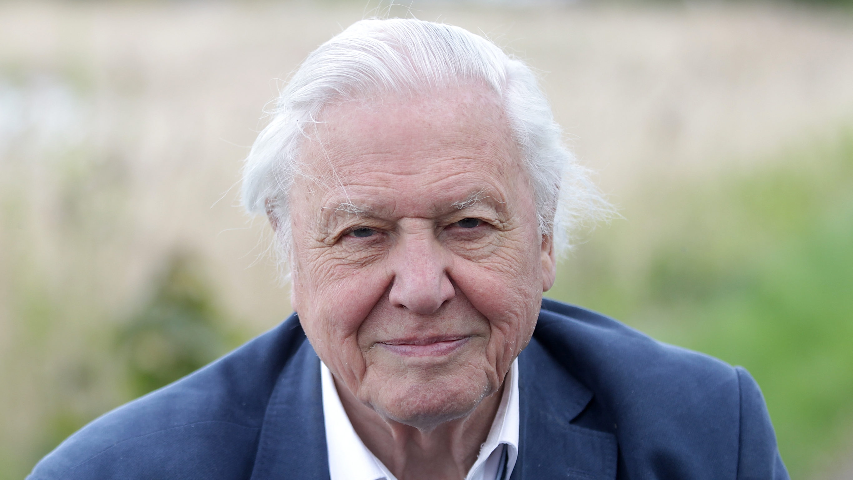 Sir David Attenborough levélben válaszolt egy négyévesnek, aki azt kérdezte, kihal-e az emberiség