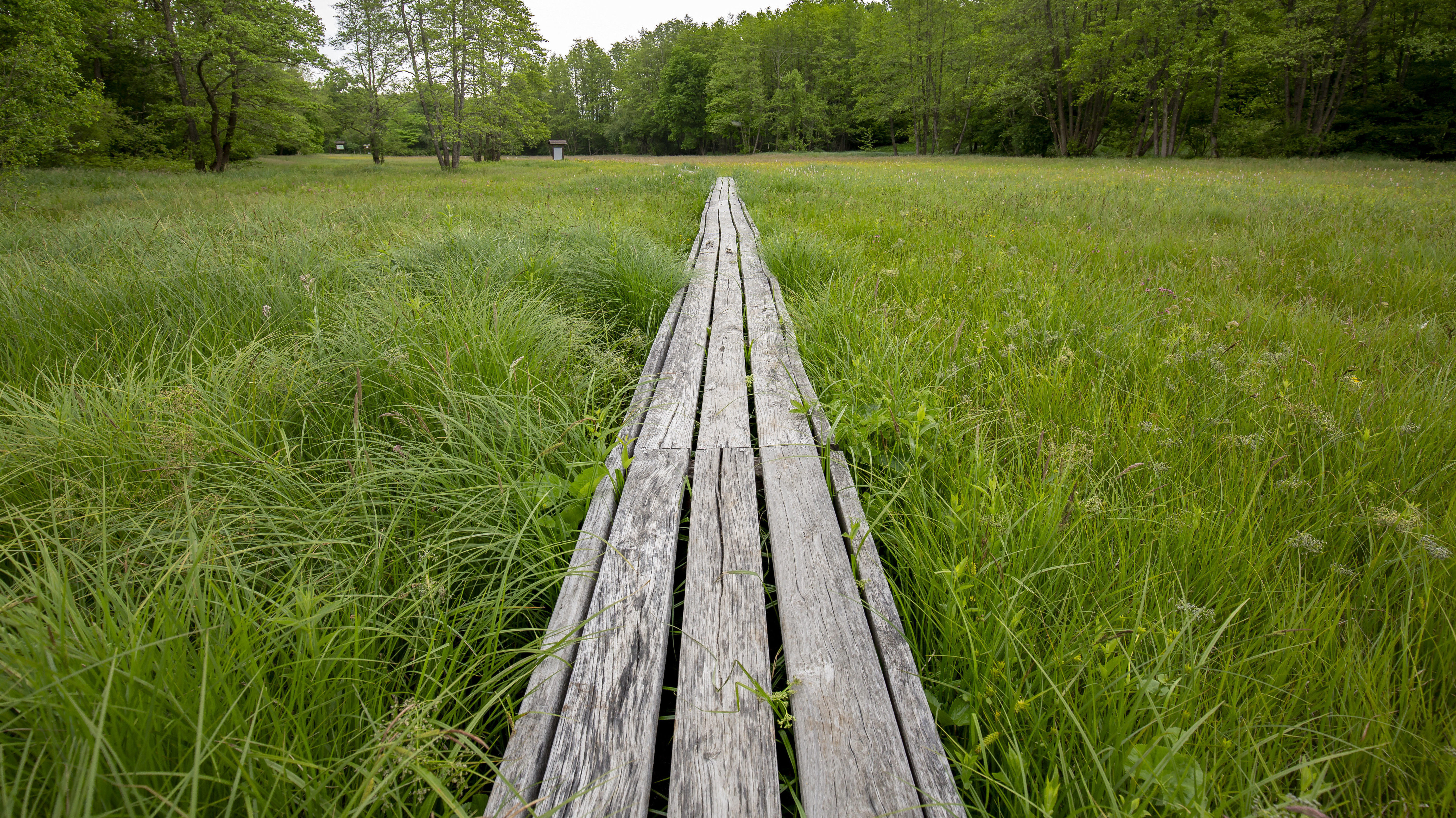 Az Őrségi Nemzeti Park nem támogatja a Mol kútfúrását