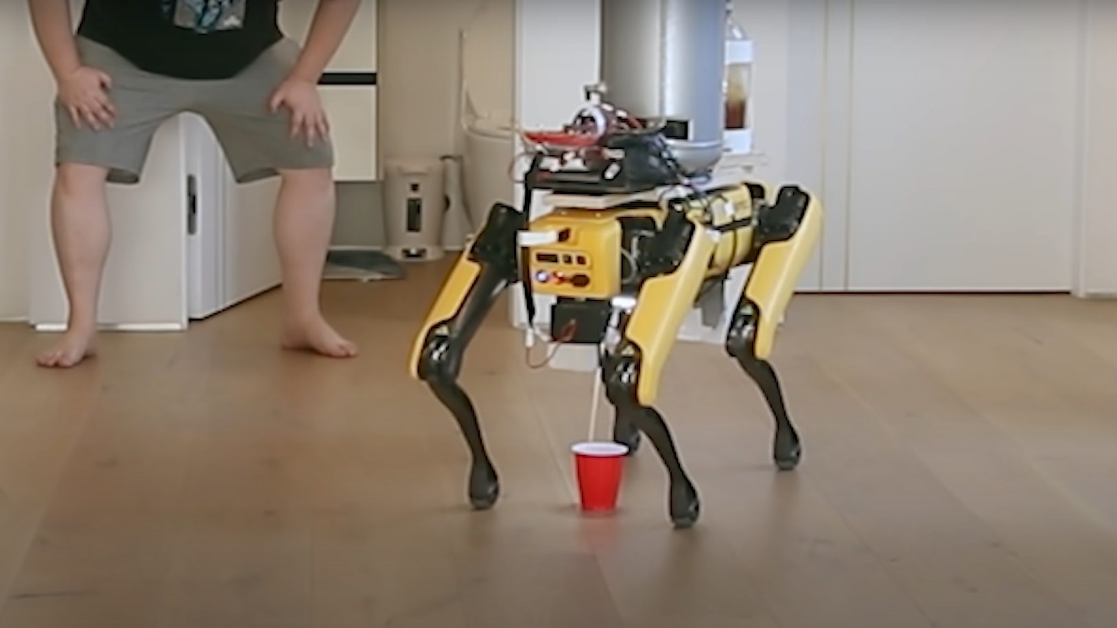 Parancsra „pisili” a sört a Boston Dynamics robotkutyája