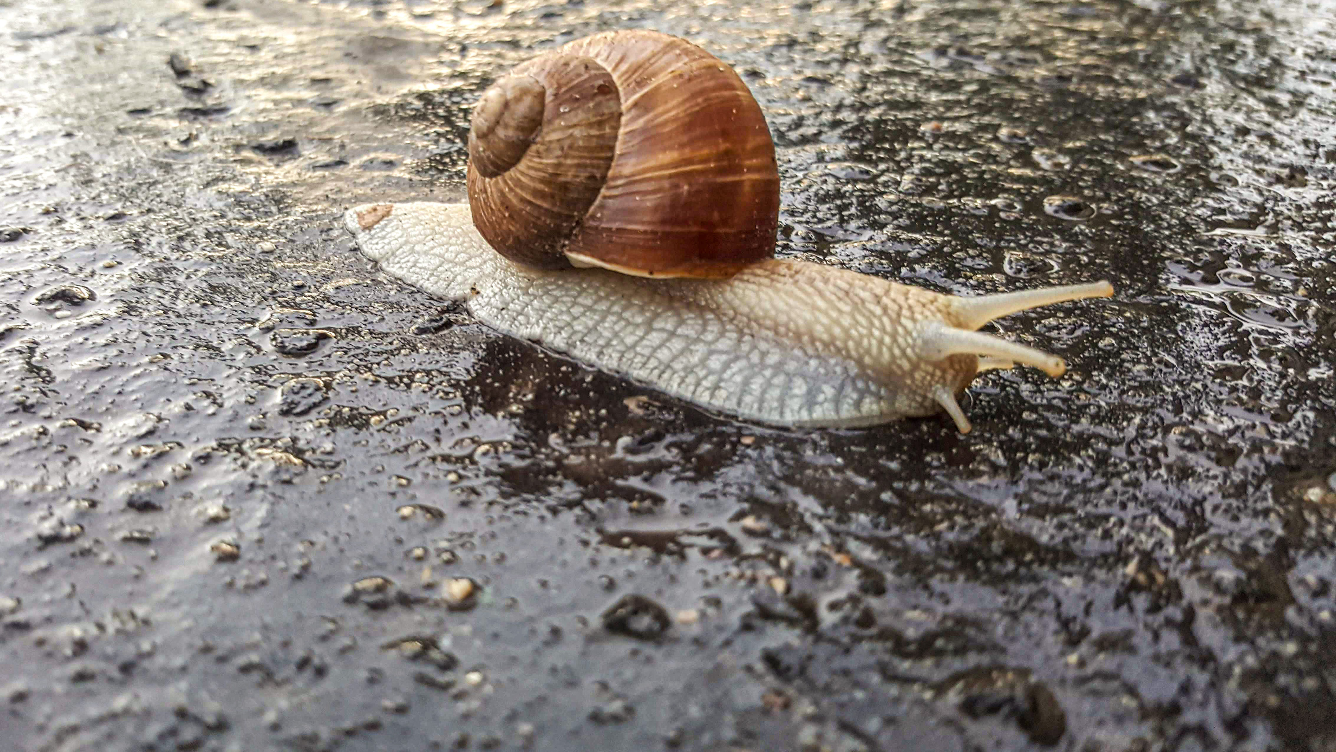 Napokig marad a hűvös idő, még vasárnap is eshet