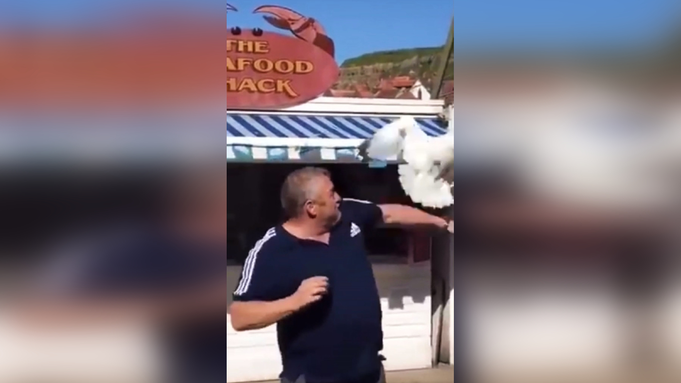 Ököllel ütött meg egy sirályt egy brit férfi, mert a madár el akarta lopni az ételét