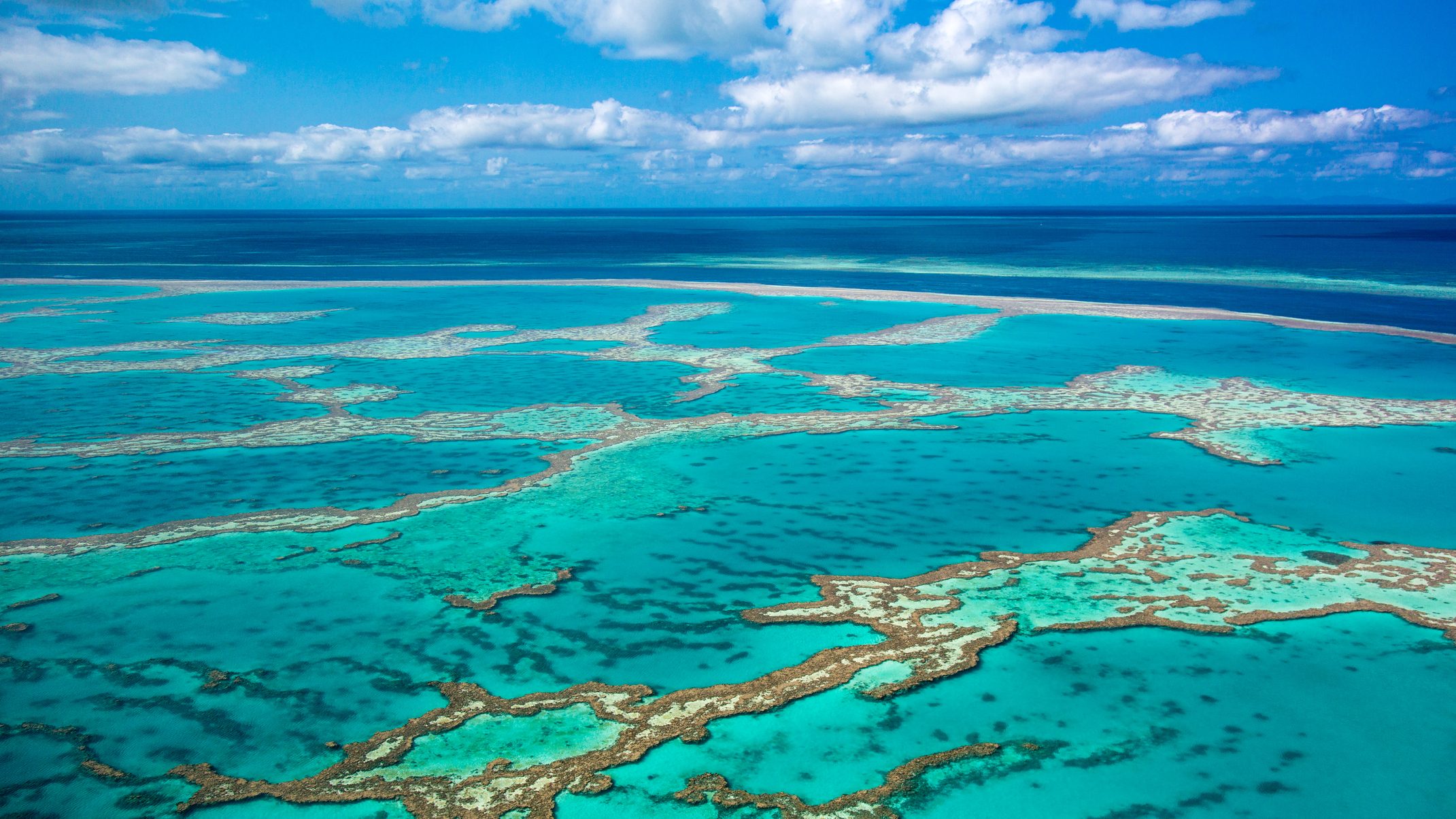 UNESCO: óriási veszélyben van a Nagy-korallzátony