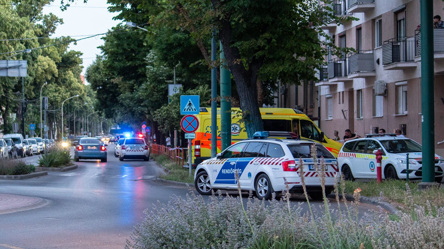 Napokkal a kettős gyilkosság előtt kapta meg a fegyvertartási engedélyét a szegedi gyógyszerész