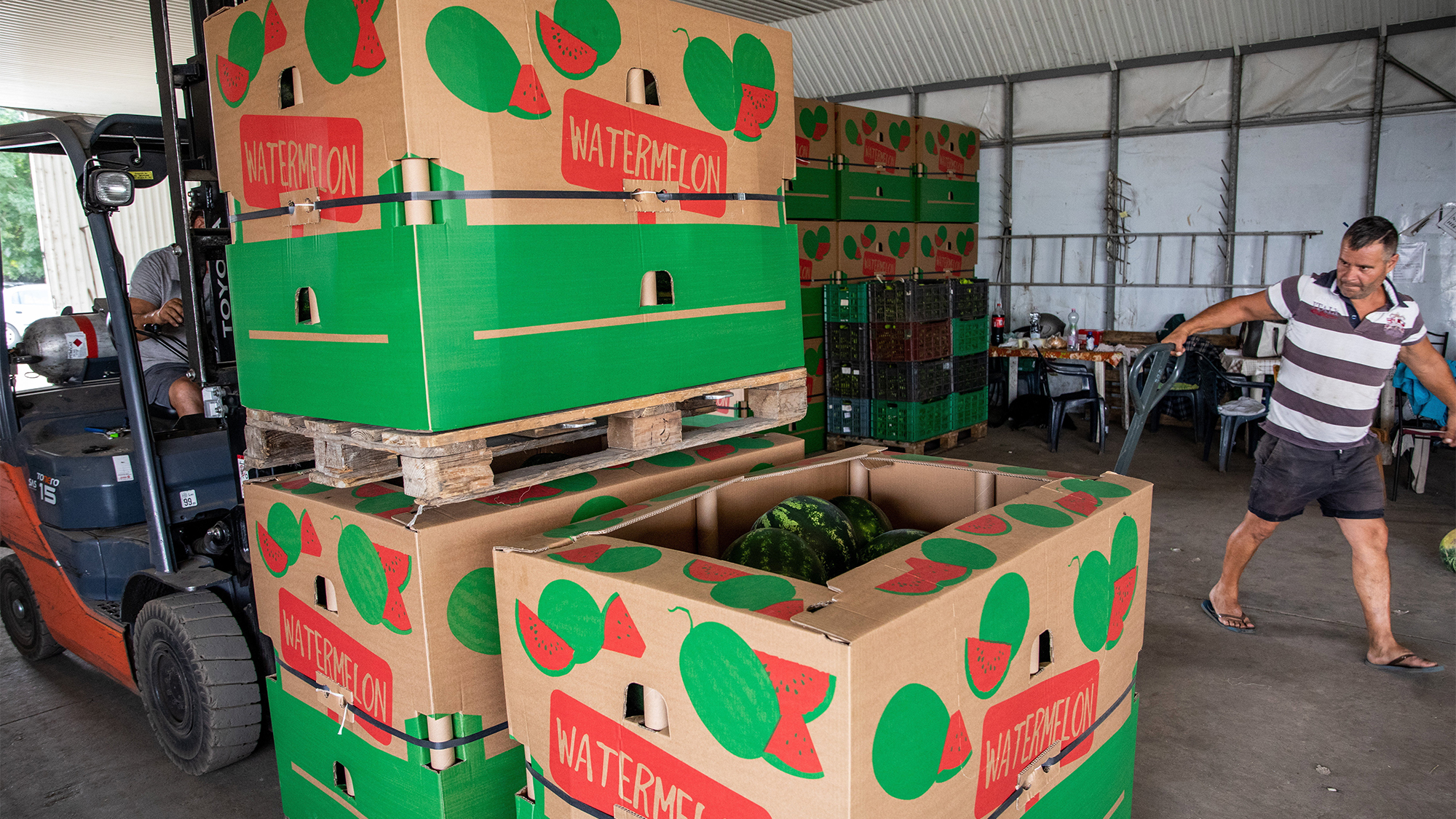 Kiváló az idei görögdinnye, de olcsóbb nemigen lesz