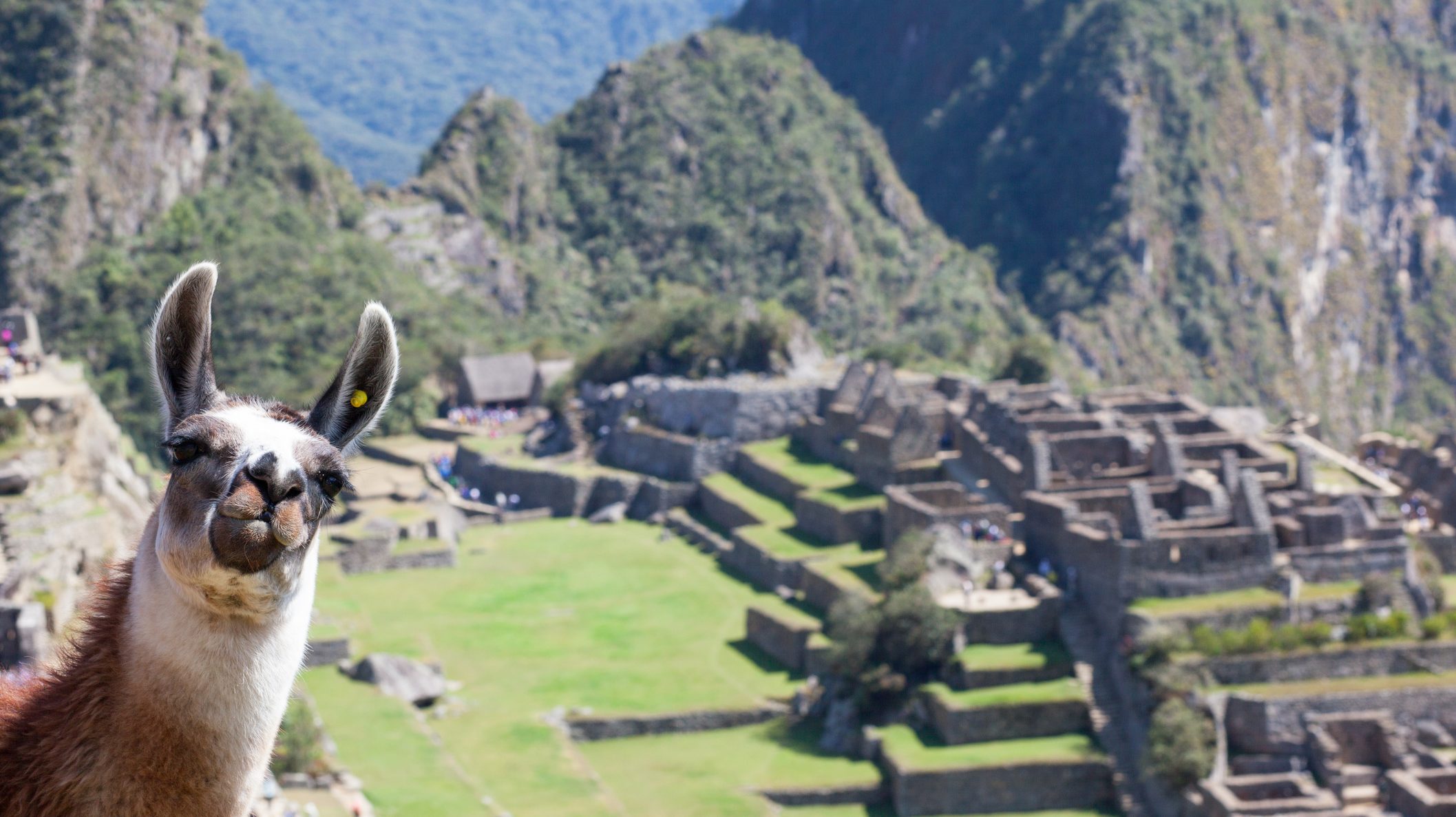 Korábban épülhetett a Machu Picchu, mint eddig hittük