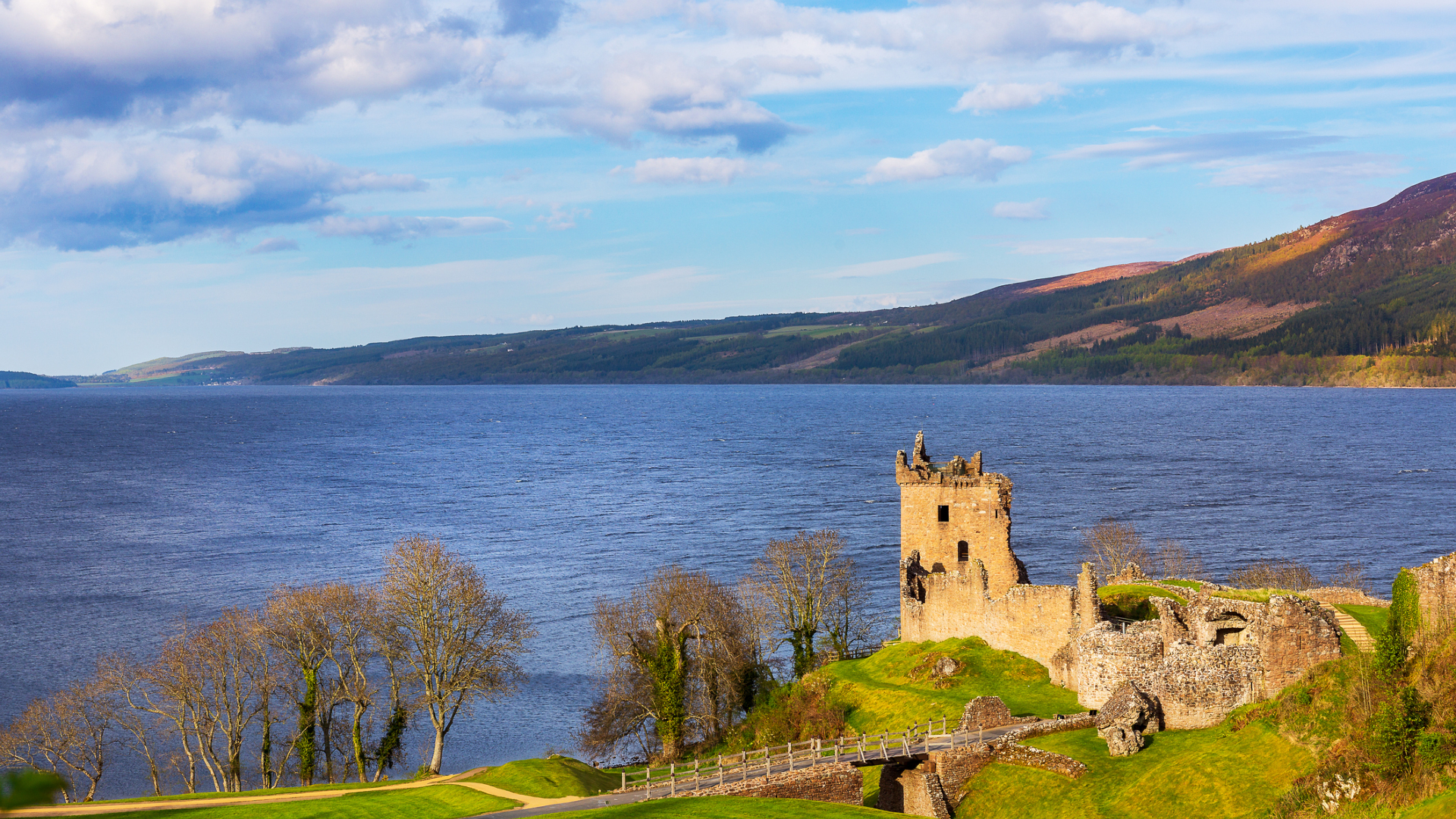 A Loch Nesst nézegette a Google-ben, de nem azt a szörnyet találta meg, amelyikre számított