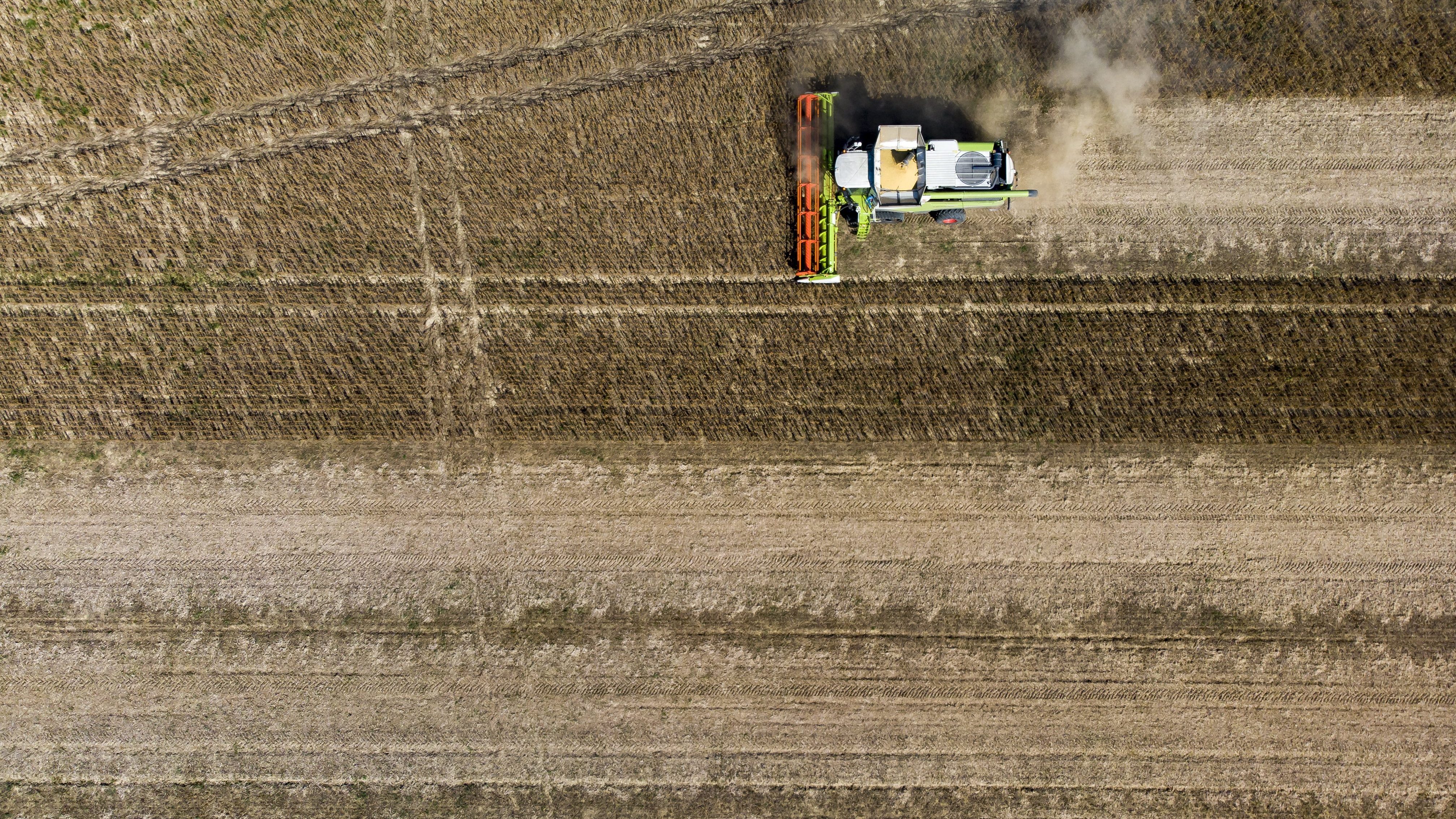 GMO-szennyezett vetőmagból kelt szója megsemmisítését rendelte el a Nébih