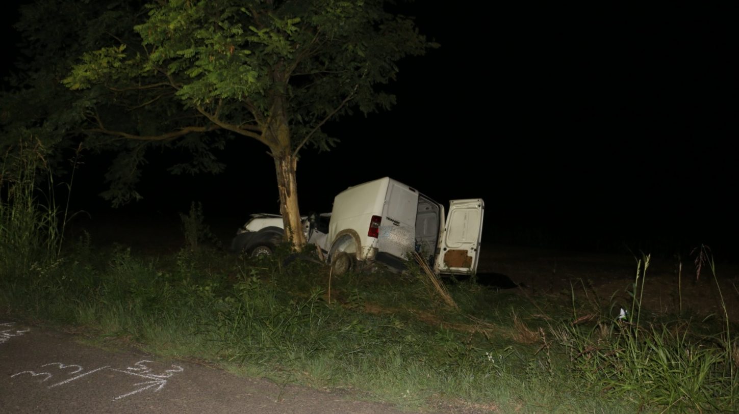 Fának csapódott, meghalt a sofőr