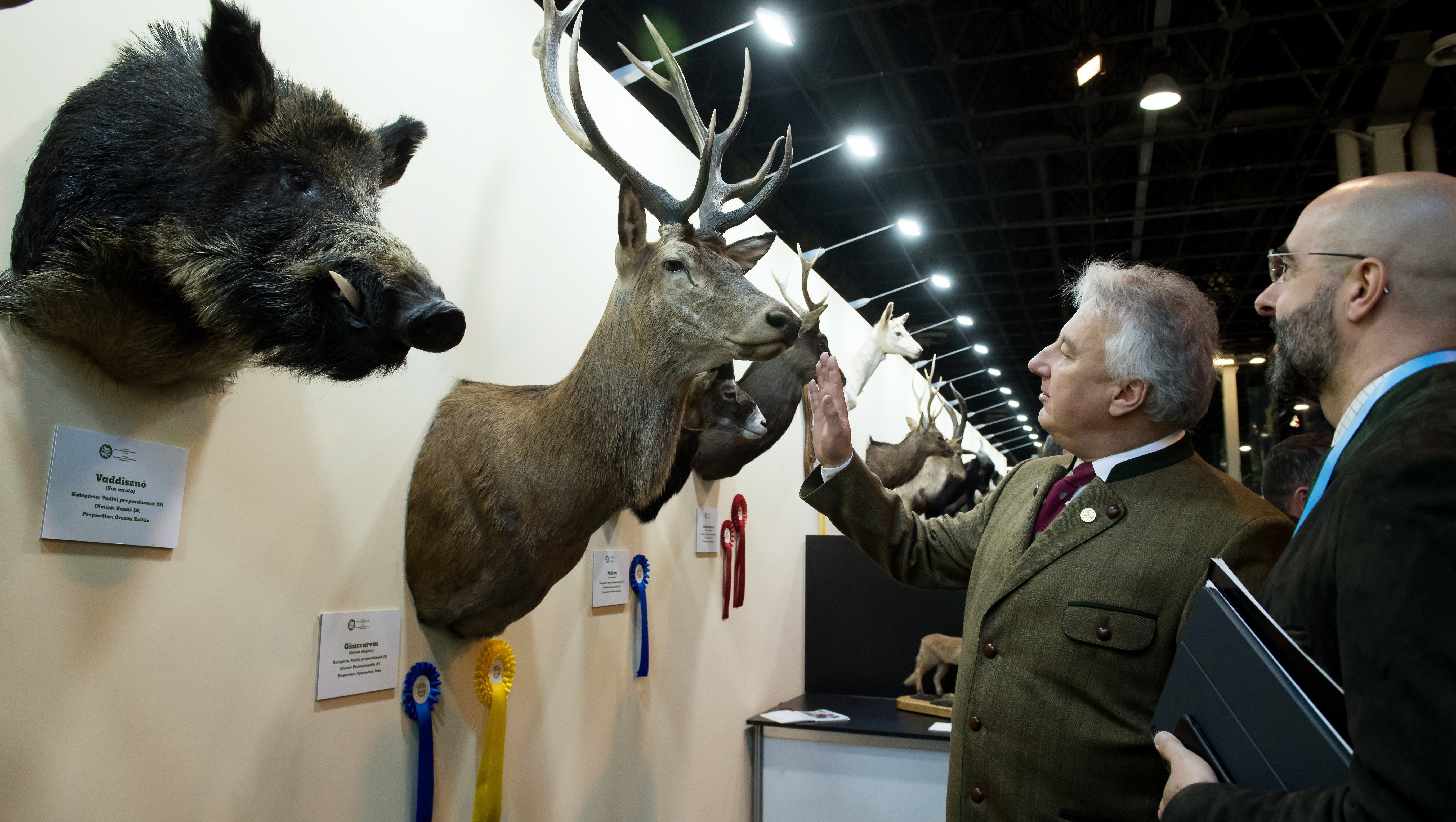 Dorosz Dávid: ingyenjeggyel és utazással csábítják az iskolásokat a vadászati kiállításra