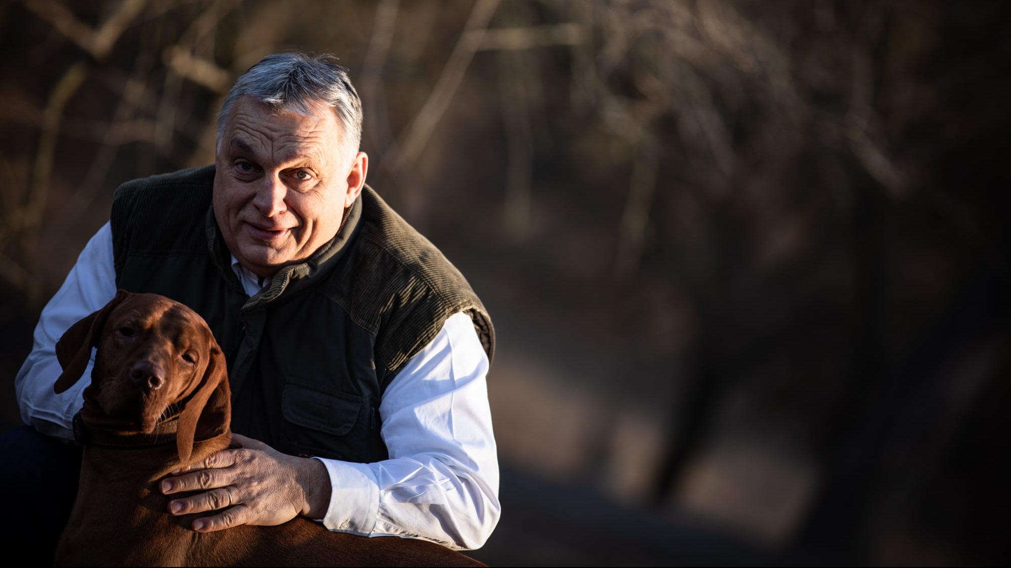 Tényleg több lájkot hoz egy kutyás, mint egy gyerekes kép? Orbán Viktor facebookos fotói nem ezt mutatják