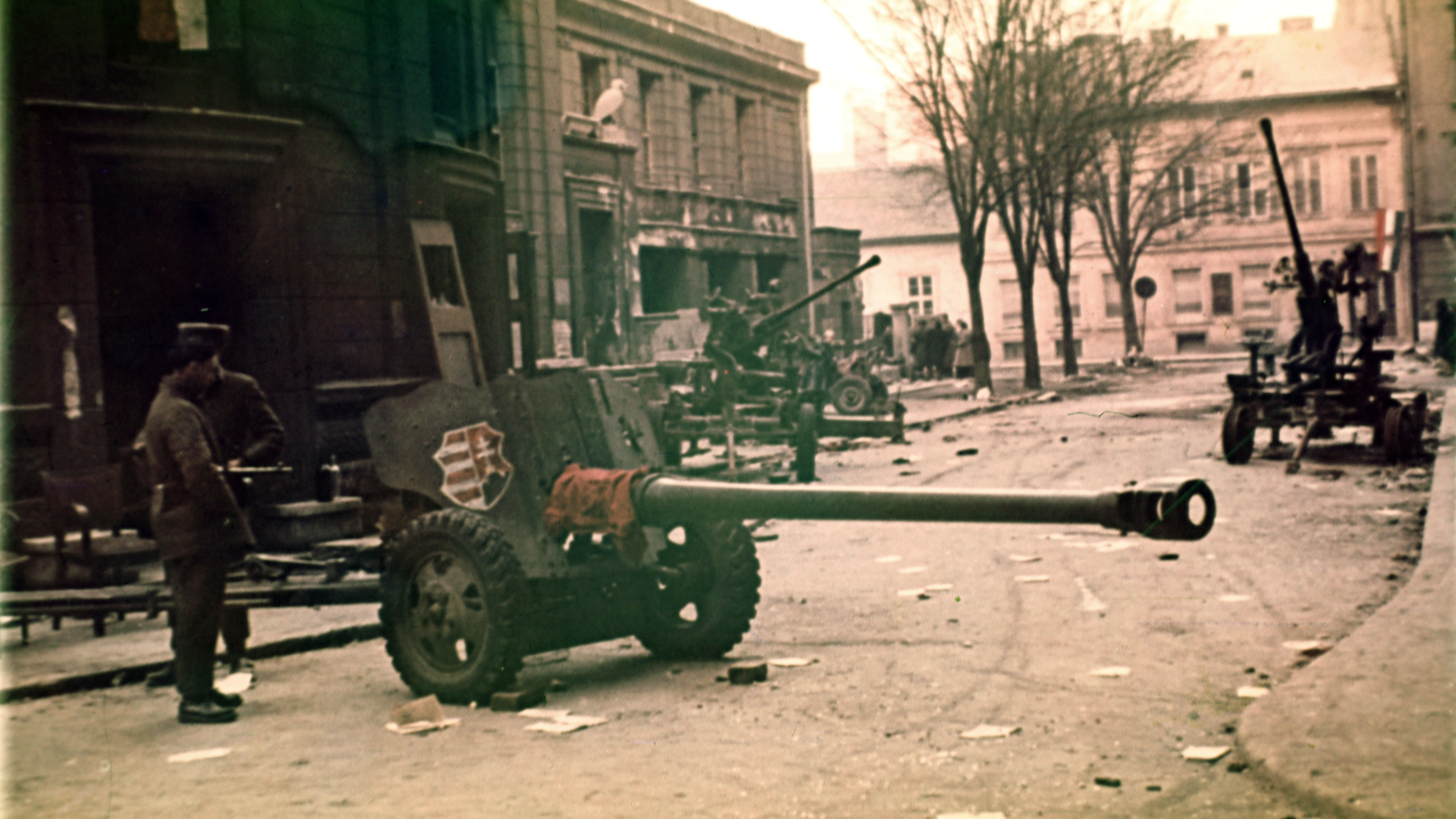 Az 1956-os forradalom falusi történéseit mutatja be a Szentendrei Skanzen