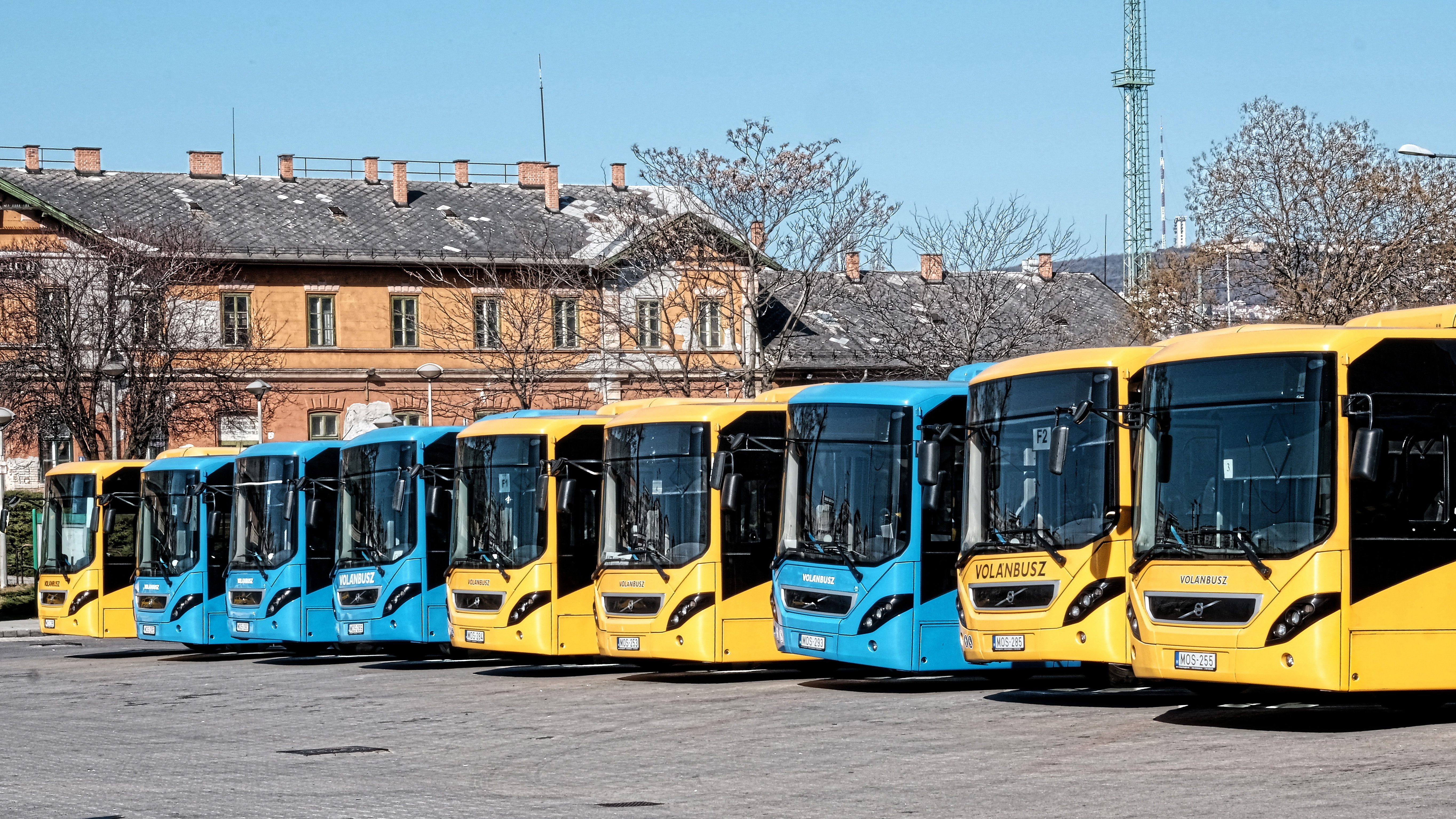 Pótszabadsággal ösztönzi az oltás felvételére dolgozóit a MÁV-Volán-csoport