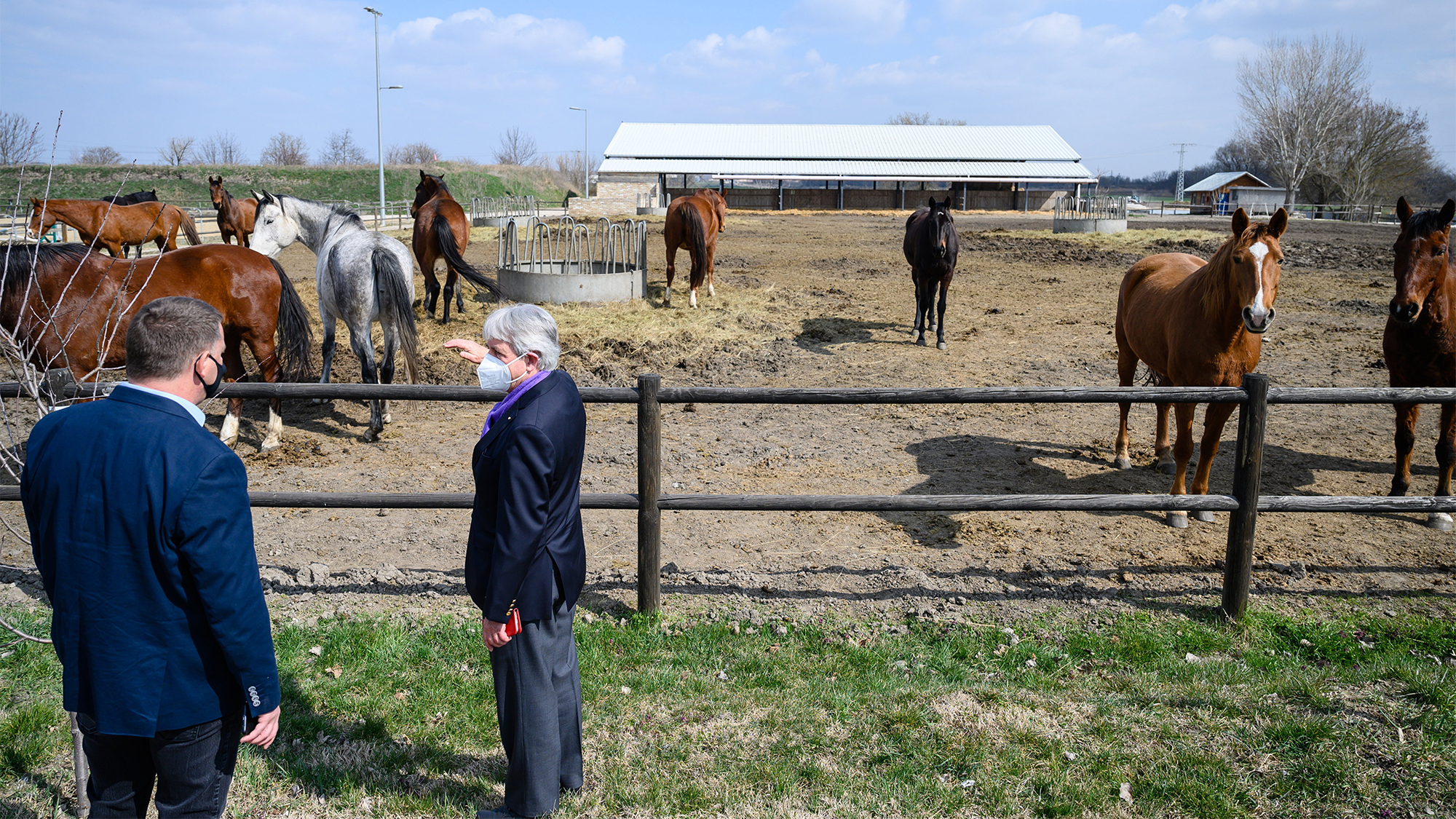 Kálnoki: Szégyen, amit a Magyar Öttusa Szövetség csinál