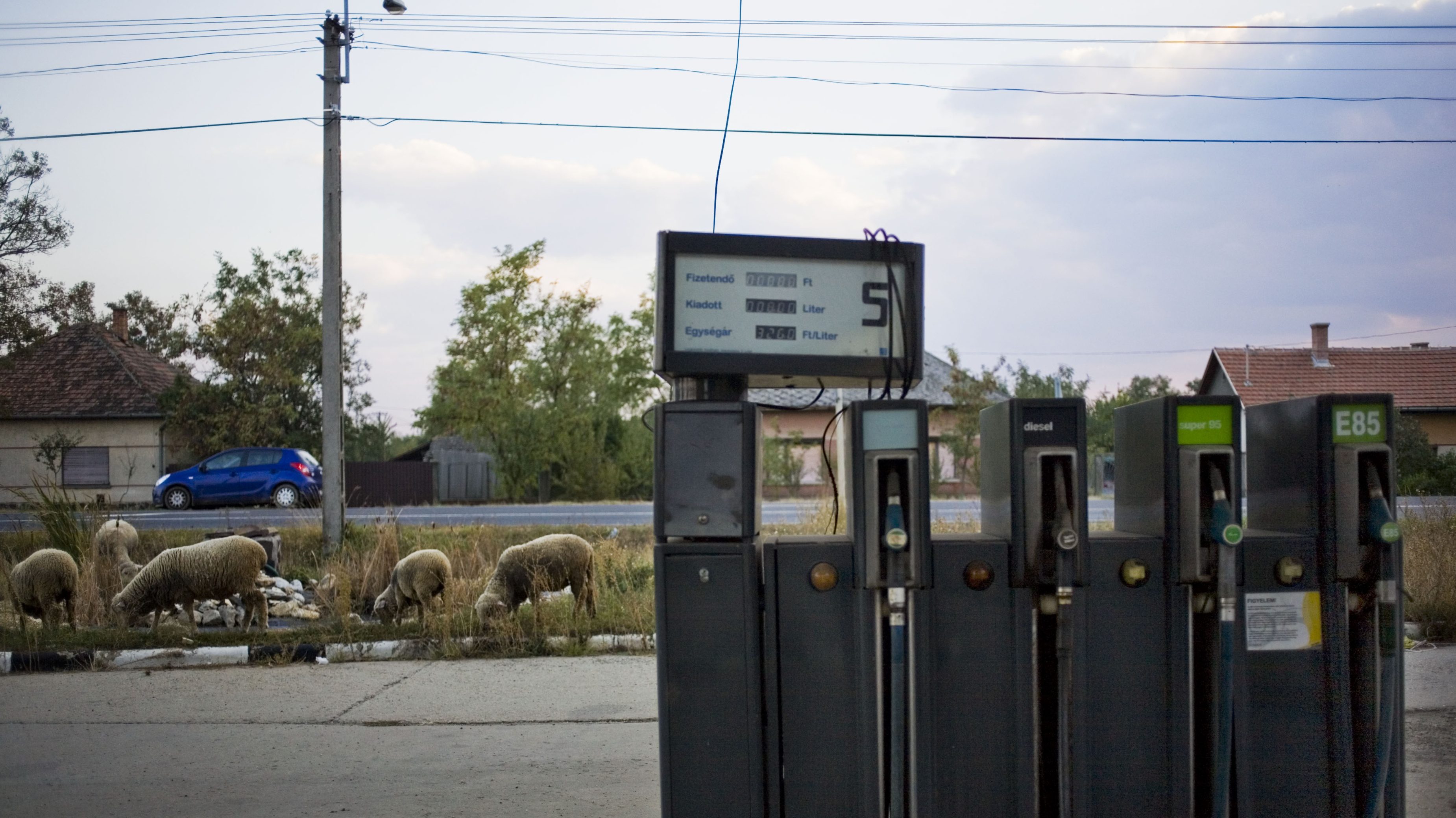 A benzinkutak többségét üzemeltető kkv-kért aggódik az ásványolaj szövetség