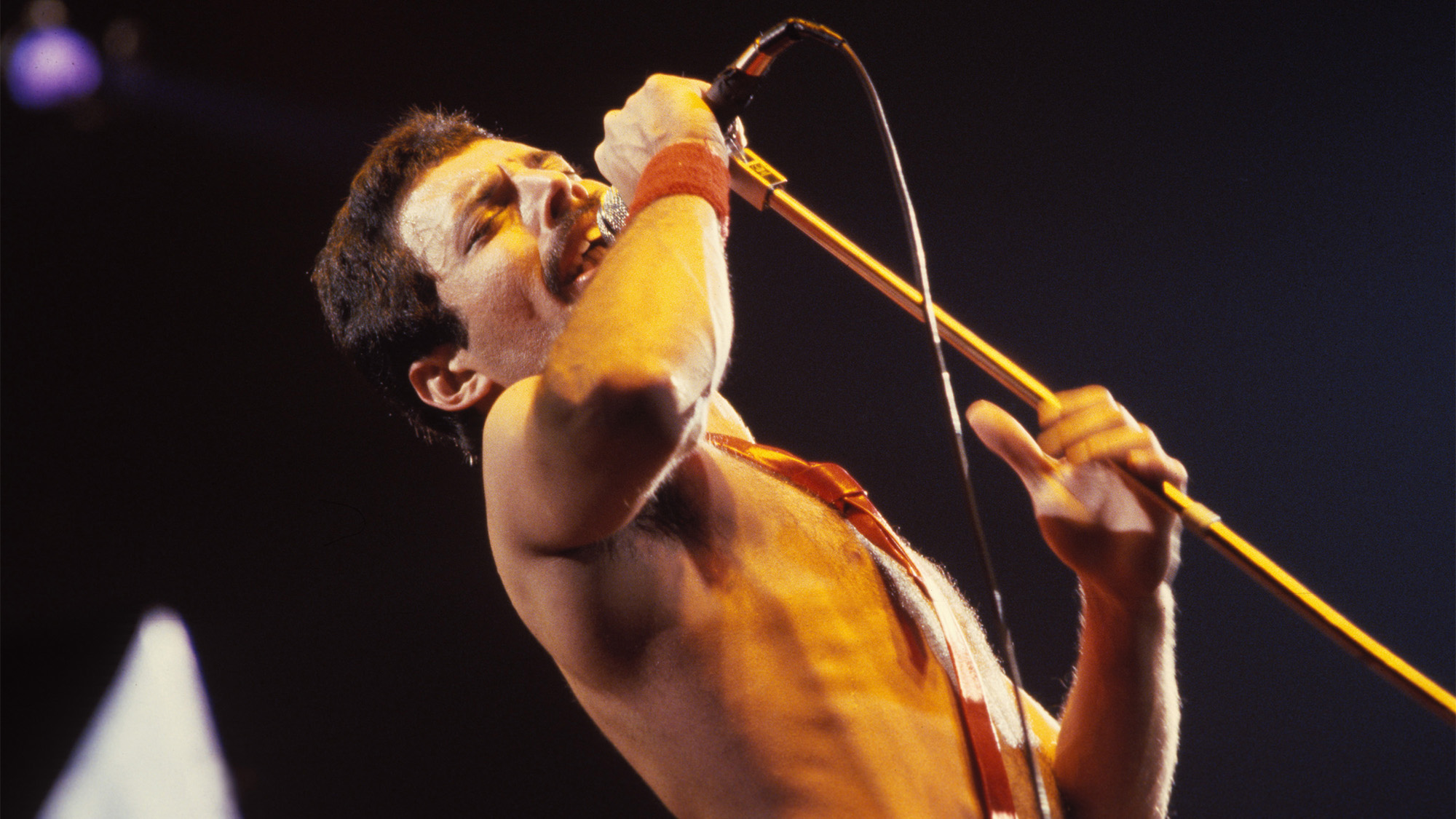 Freddie Mercury egy nappal a halála előtt avatta be a világot betegségébe