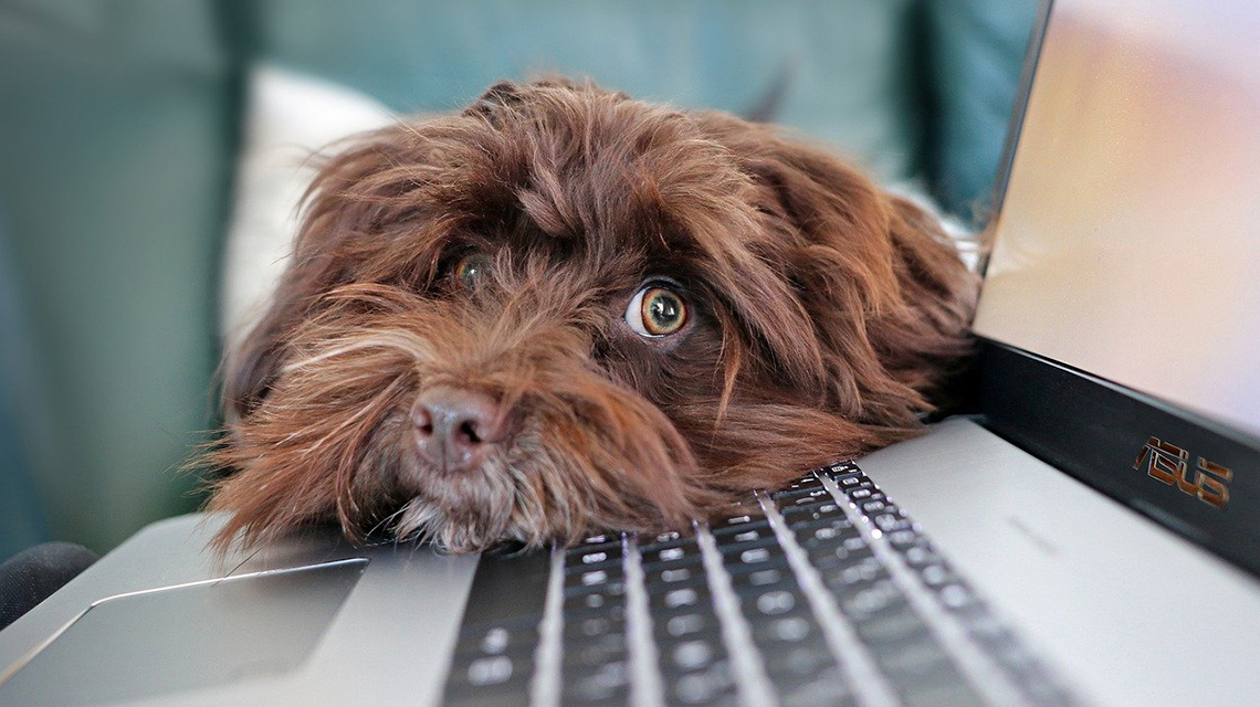 Így válasszunk használt laptopot home office-hoz! (X)