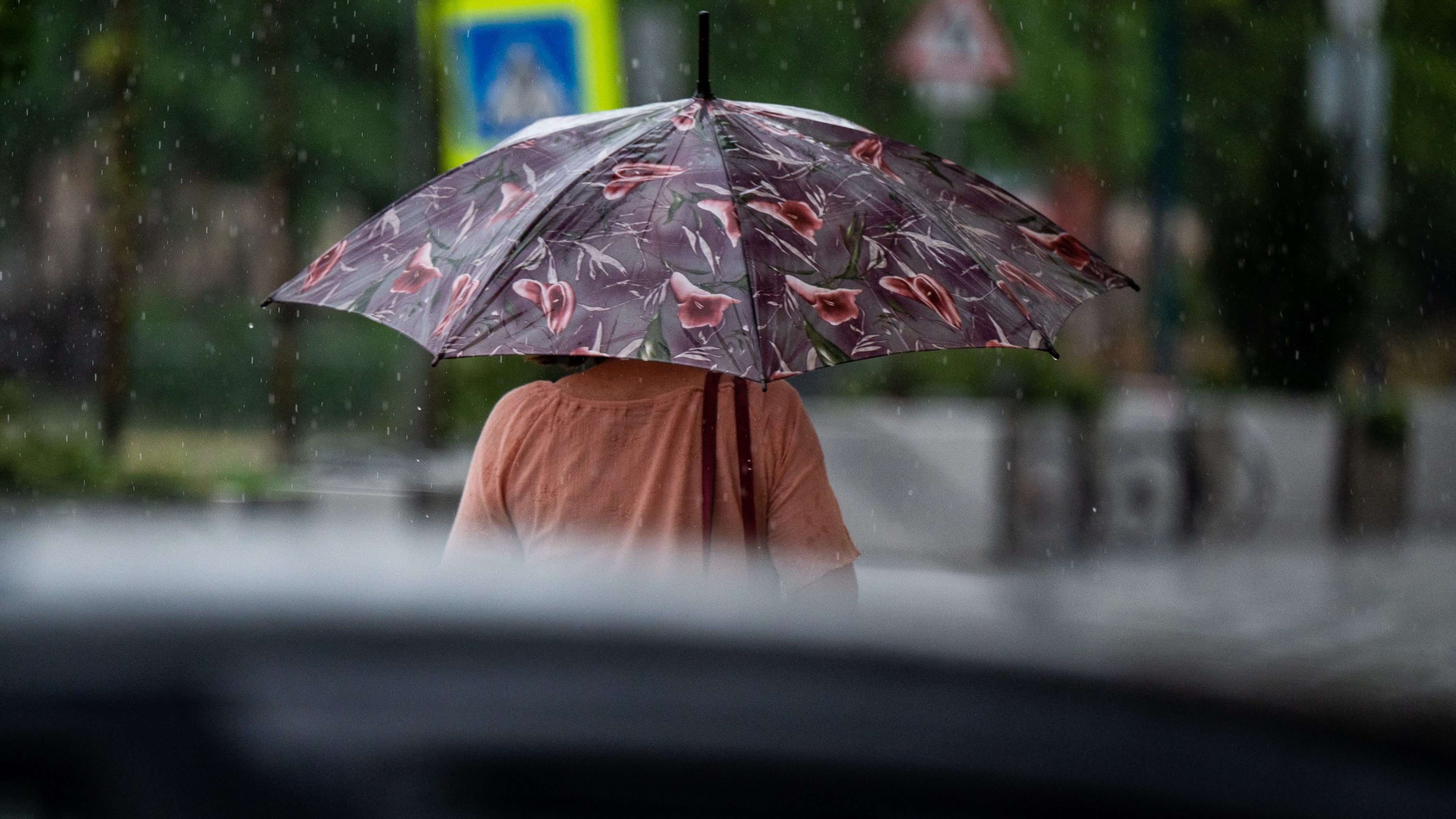 Melegebb lehet a következő hónapokban, mint ahogy azt megszoktuk