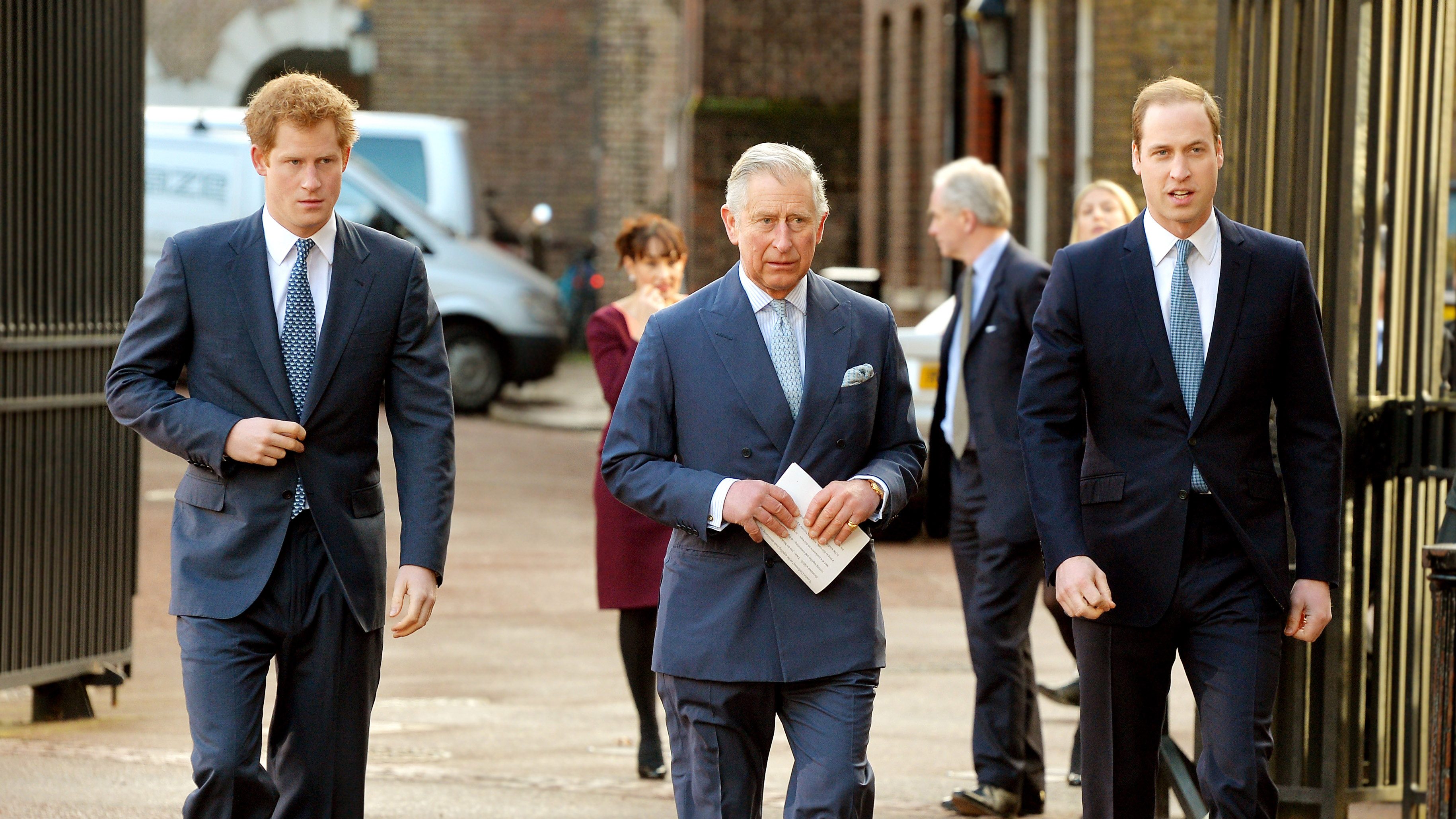 Károly herceg büszke Vilmos és Harry herceg globális felmelegedés kapcsán tett intézkedéseire
