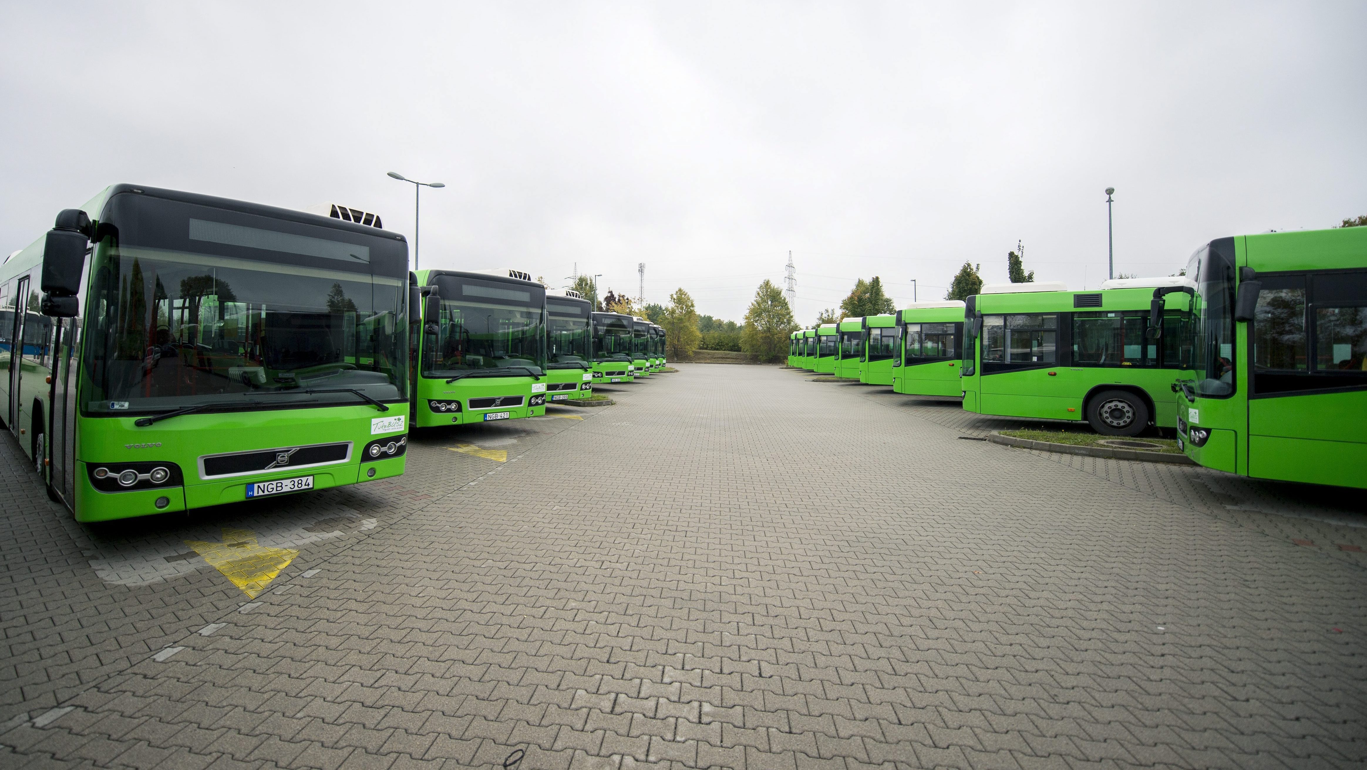 Dudálással tiltakoztak a bunkózás miatt a pécsi buszvezetők