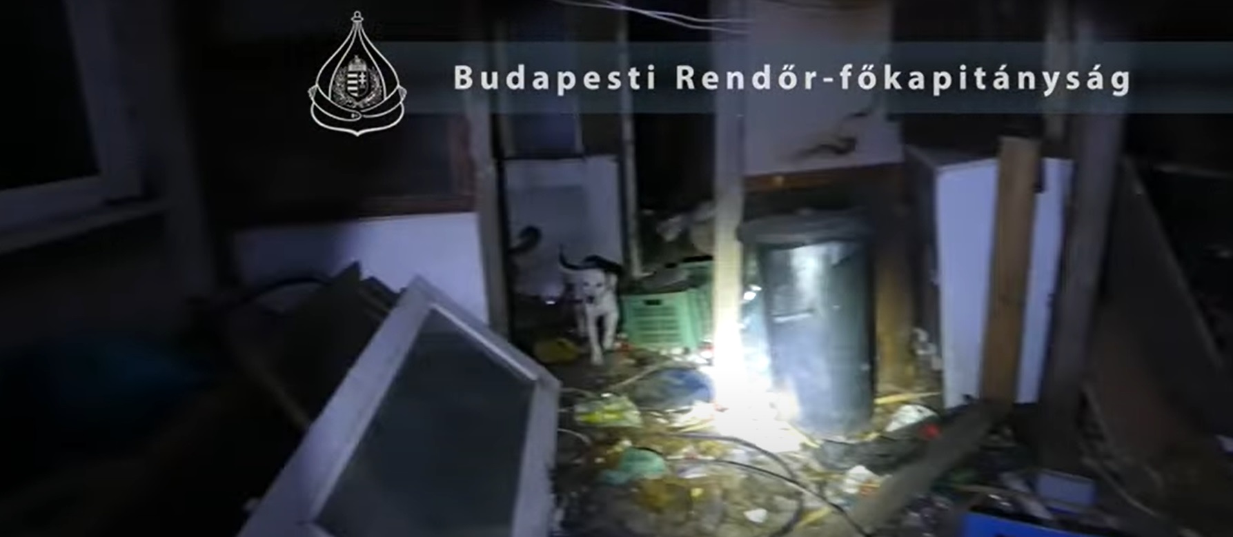 Állattetemeket találtak a rendőrök egy csepeli ház udvarán