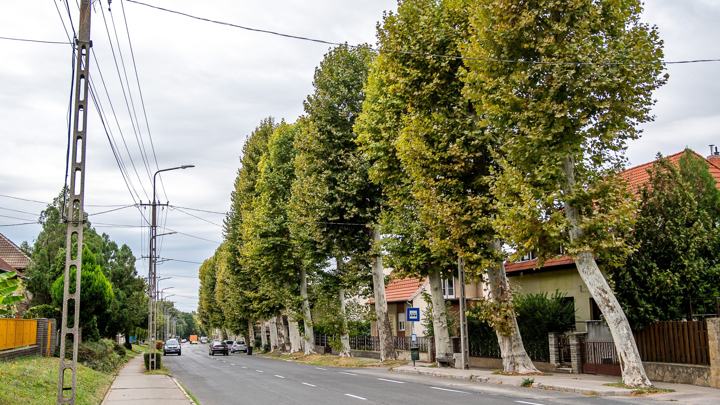 700 ezer forintos négyzetméterár lett a jellemző a budapesti agglomeráció felkapott részein