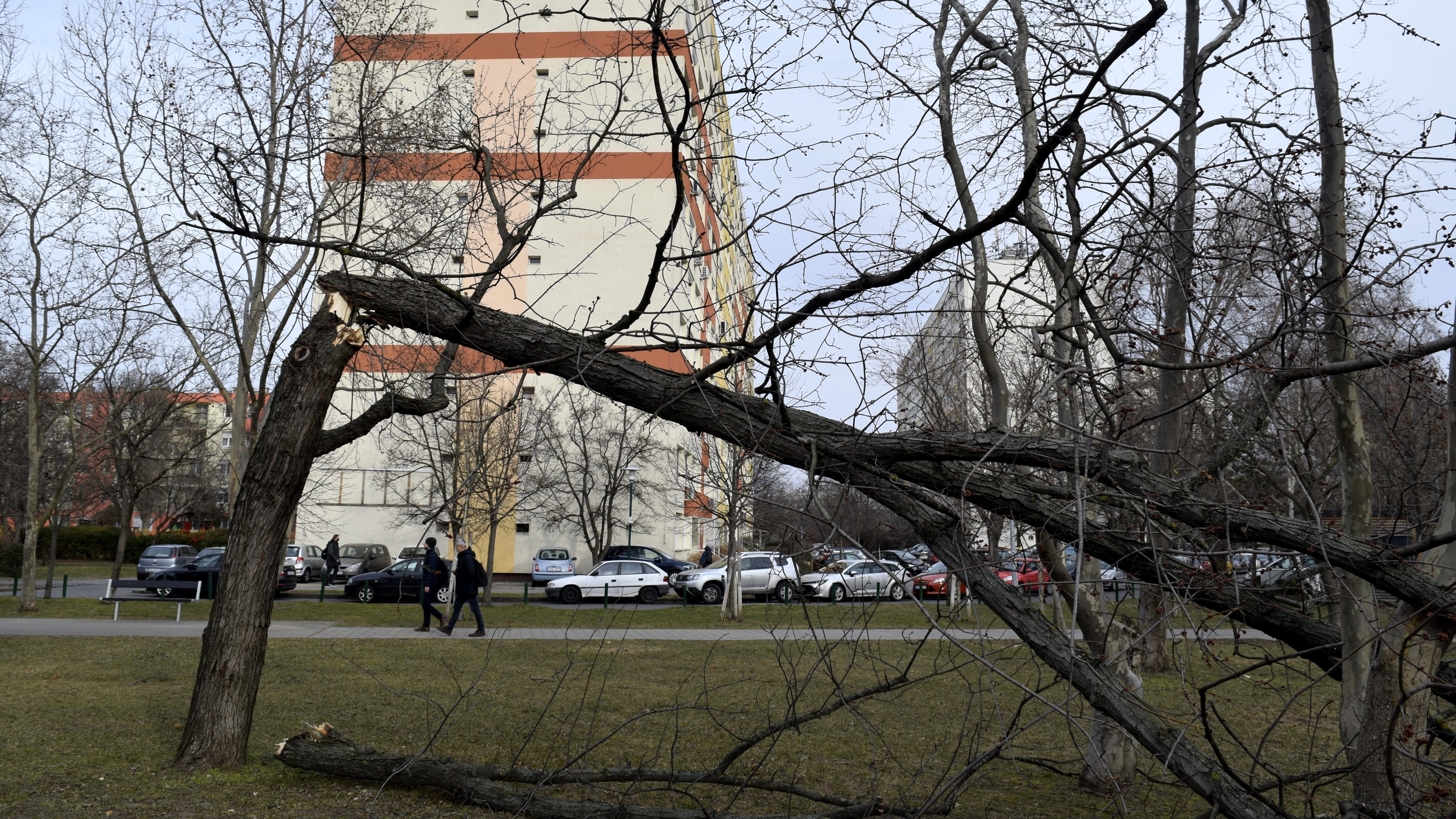 Közel 3 milliárdnyi lakáskárt térítenek meg a biztosítók a januári viharok miatt