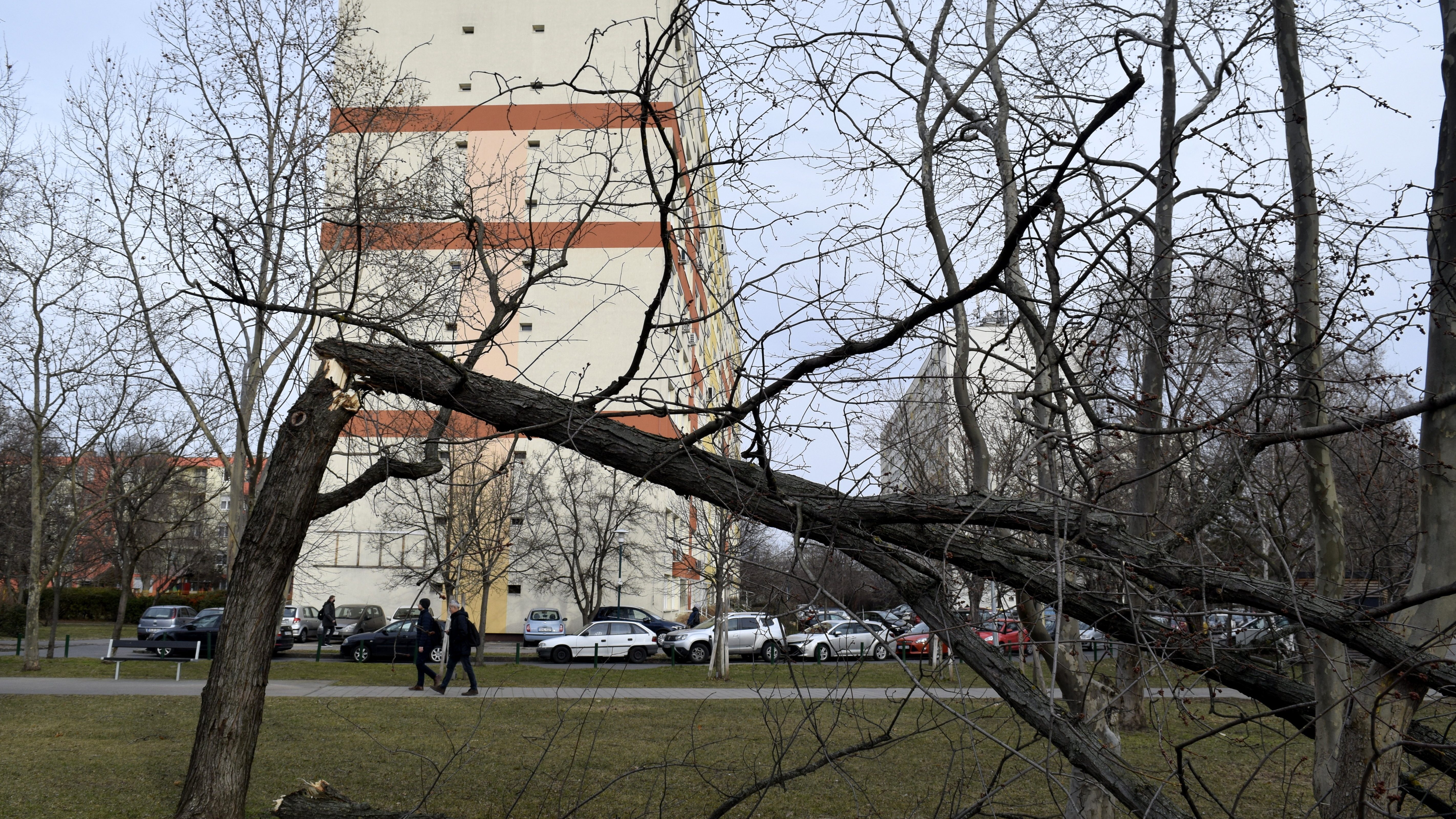 Megdőlt az országos szélrekord hétfőn