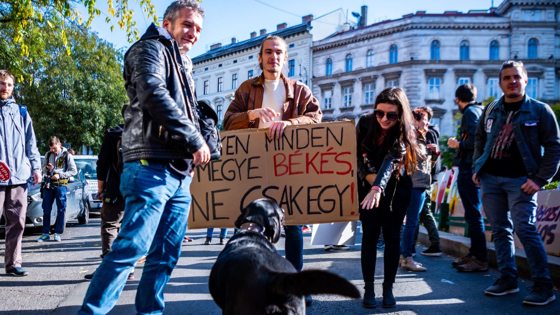 Két kutyát és 87 embert nevezett meg a Kétfarkú Kutya Párt egyéni jelöltként