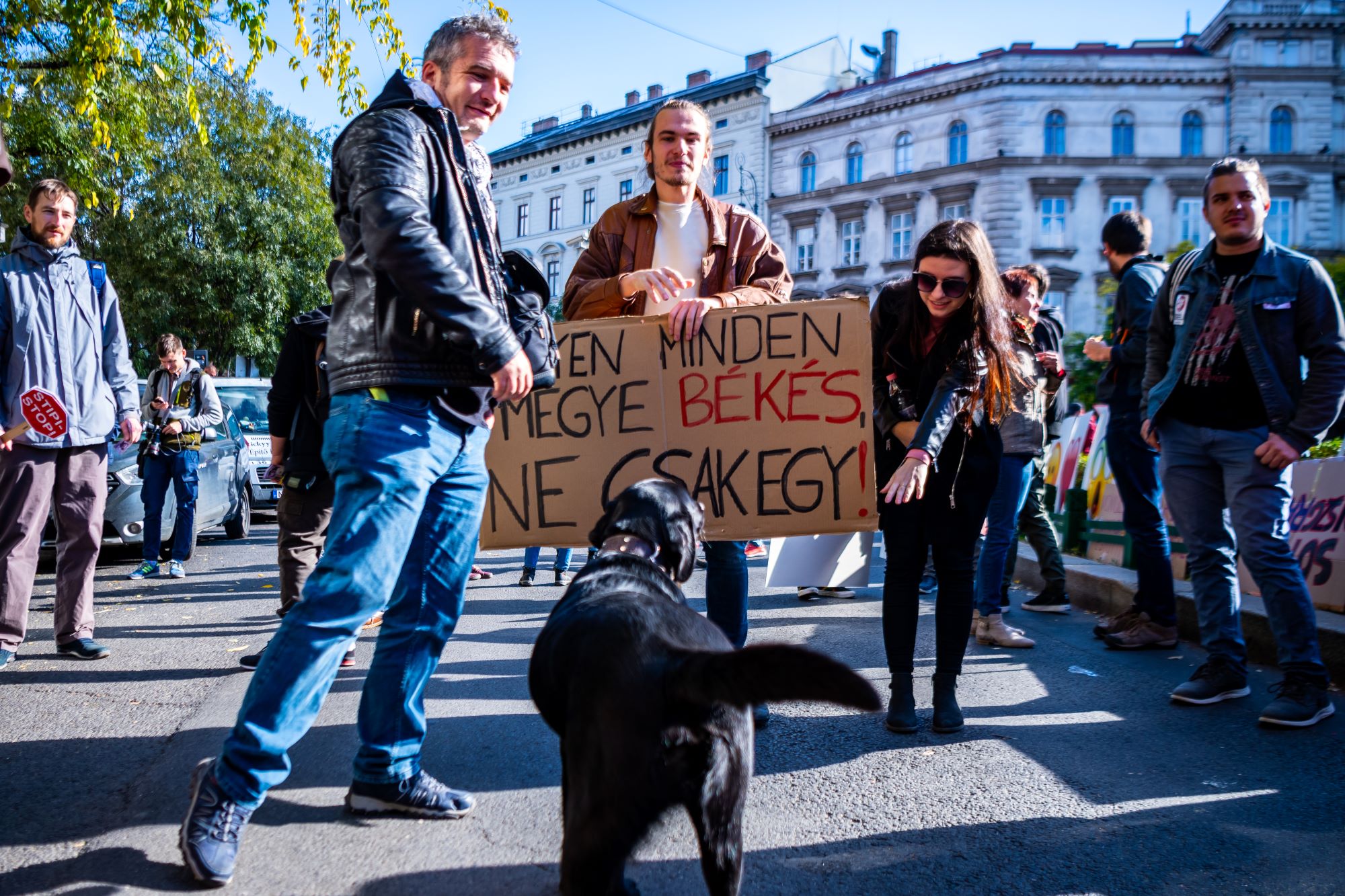 Igazságosabb világgal és még több pocakvakarással kampányol az MKKP két kutyajelöltje