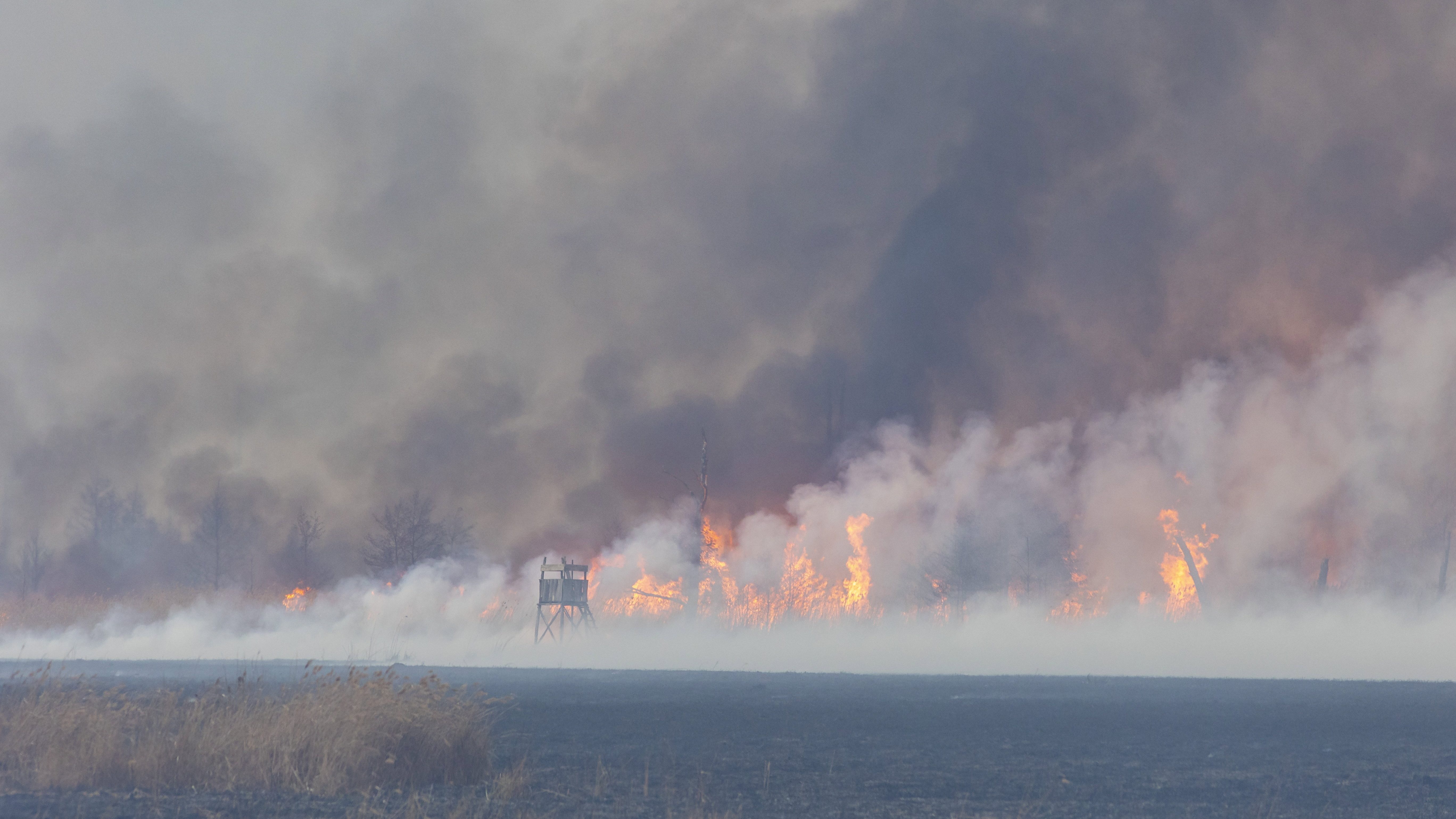 600 hektárnyi terület égett le a Kis-Balatonnál