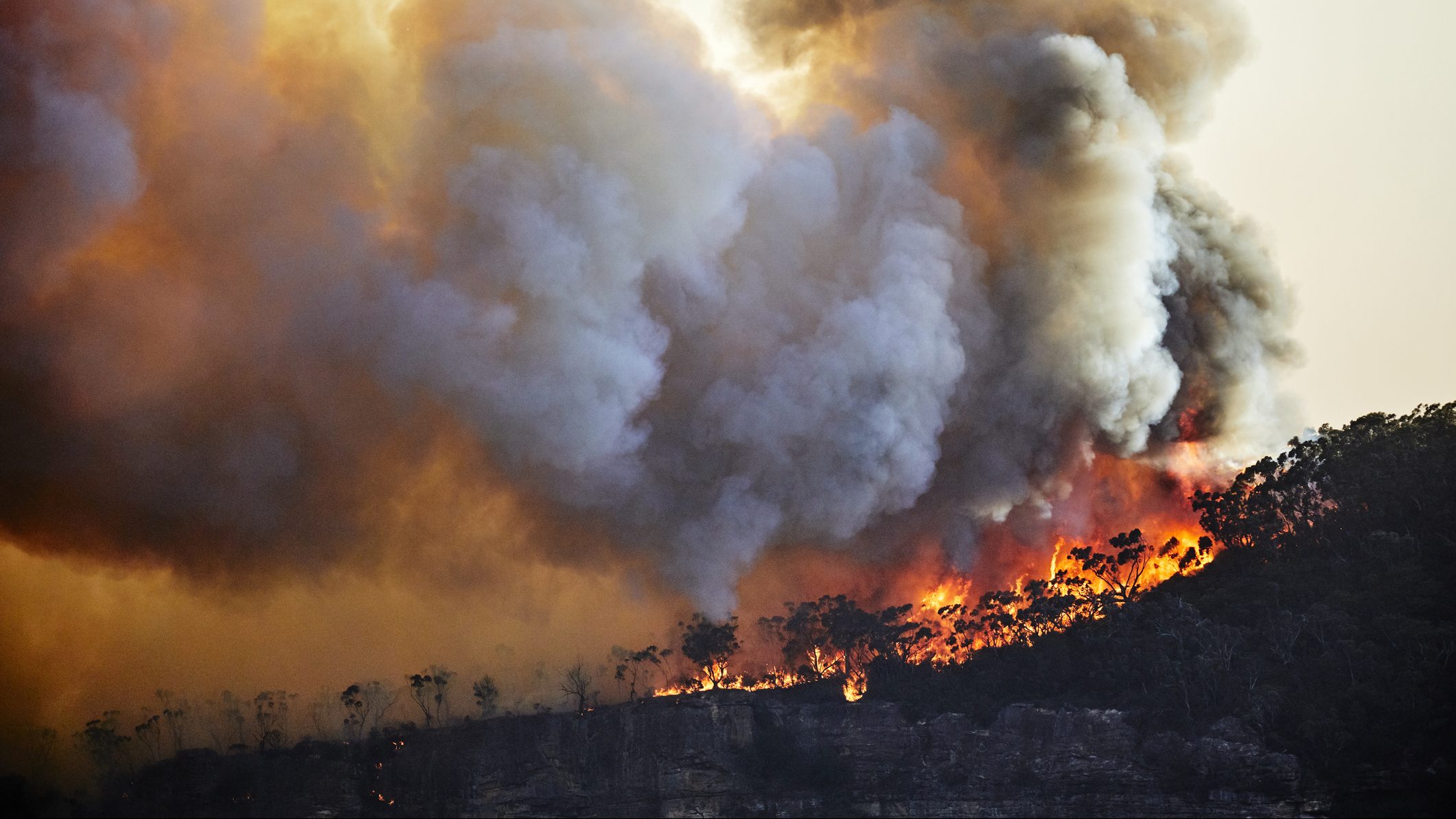 WWF: a klímaváltozást már mindenhol érzi a természet