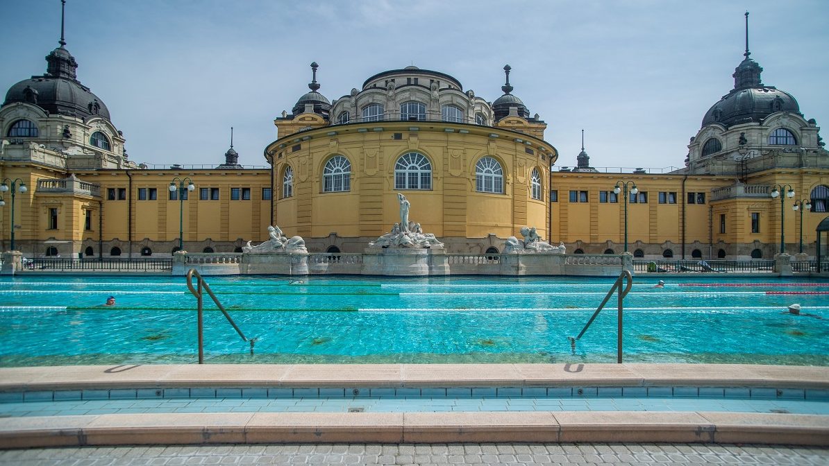 BGYH: Nem a Széchenyi-fürdőből került a halakat kipusztító szennyeződés a Városligeti tóba