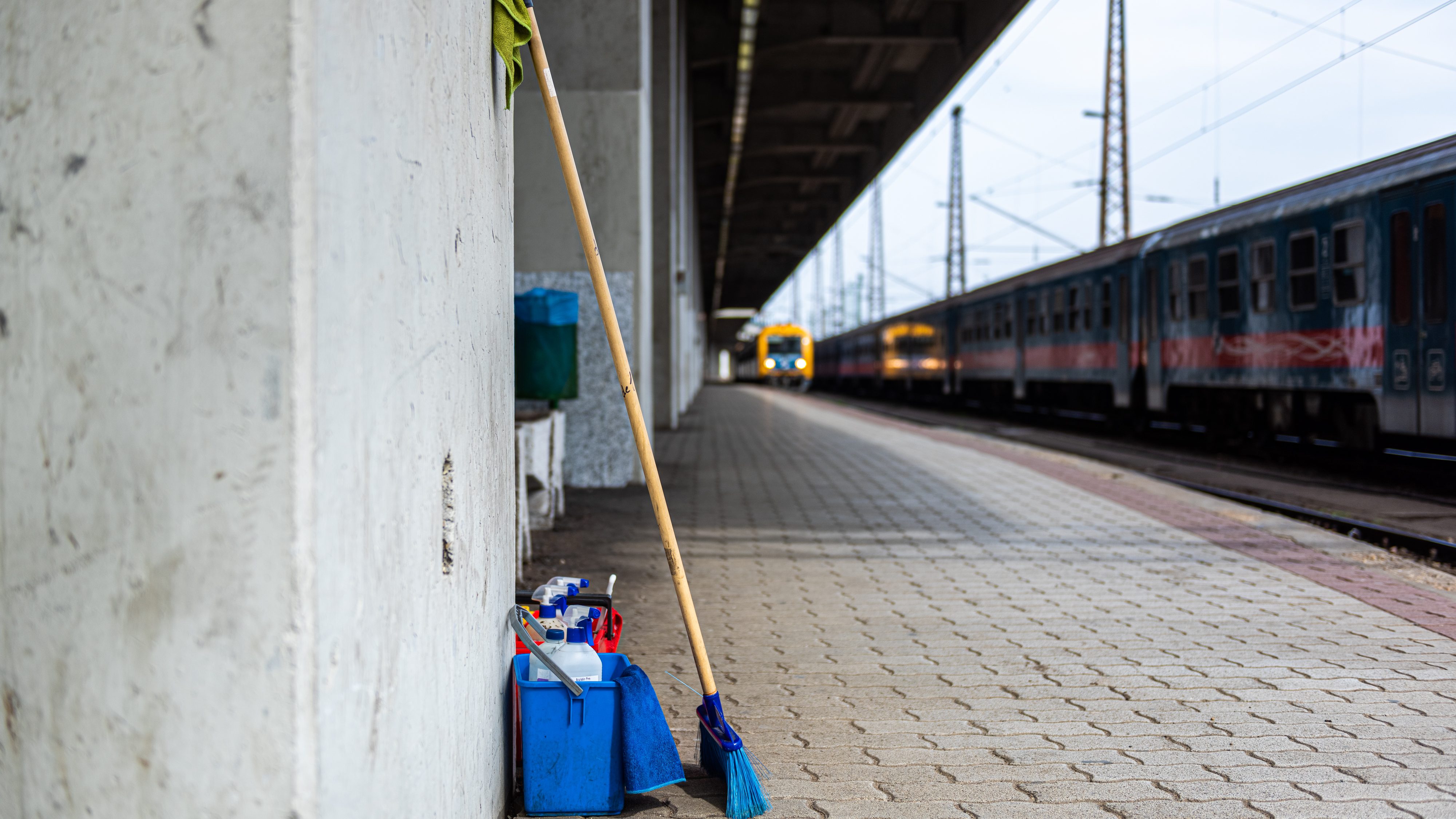 Takarítót és szakácsot keresnek leginkább a munkaadók