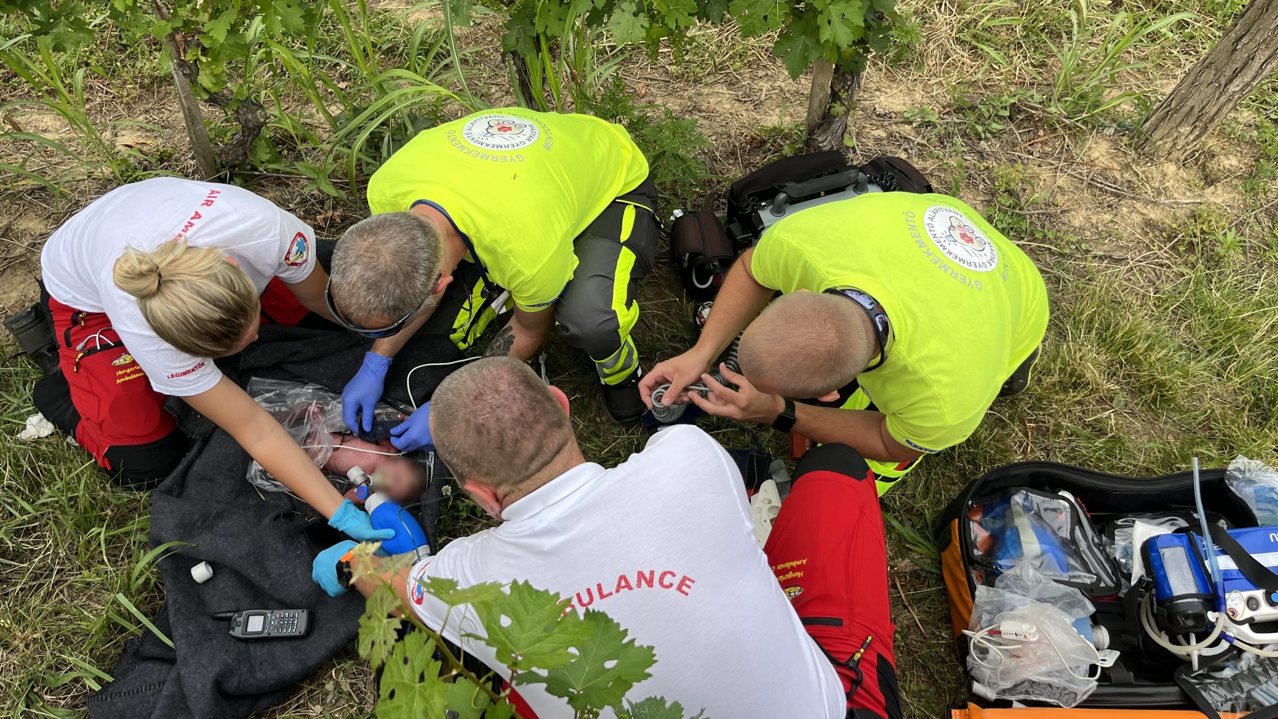 Meghalt a kórházban a baranyai szőlőhegyen sorsára hagyott csecsemő