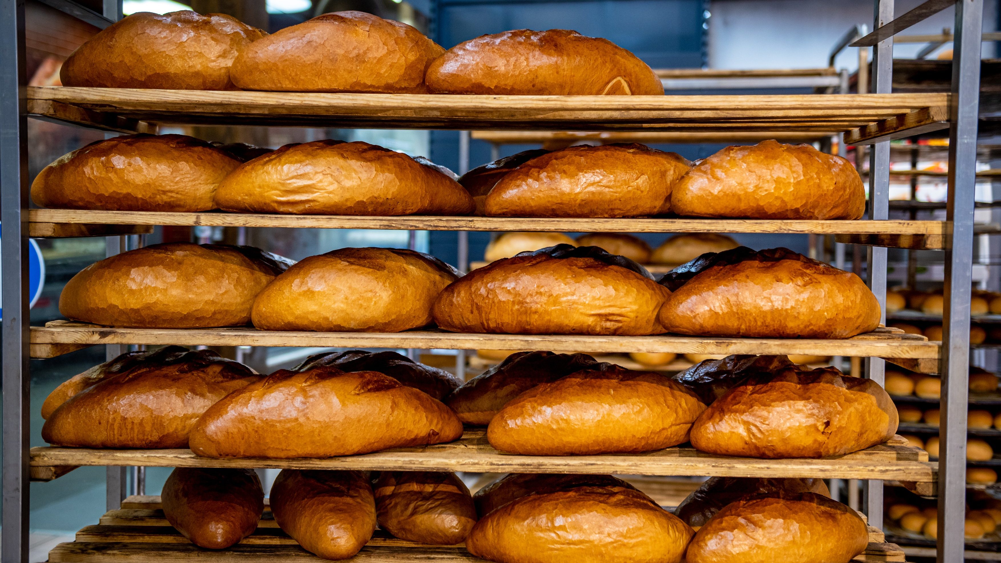 A magyarországi fogyasztók több mint harmadával fizetnek többet a kenyérért, mint tavaly ilyenkor