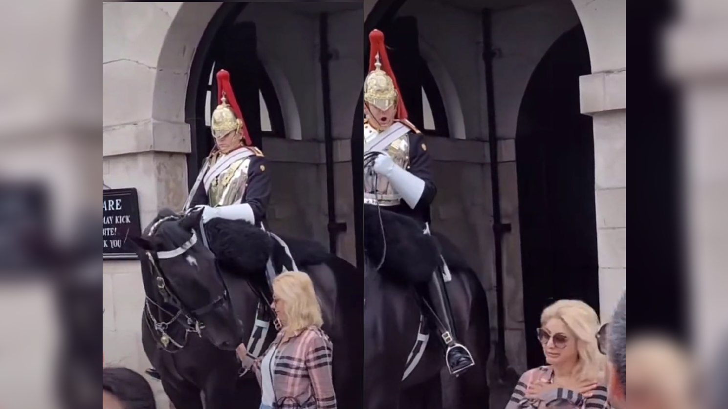 Leordította egy nő fejét Erzsébet királynő őre, miután hozzáért a lovához