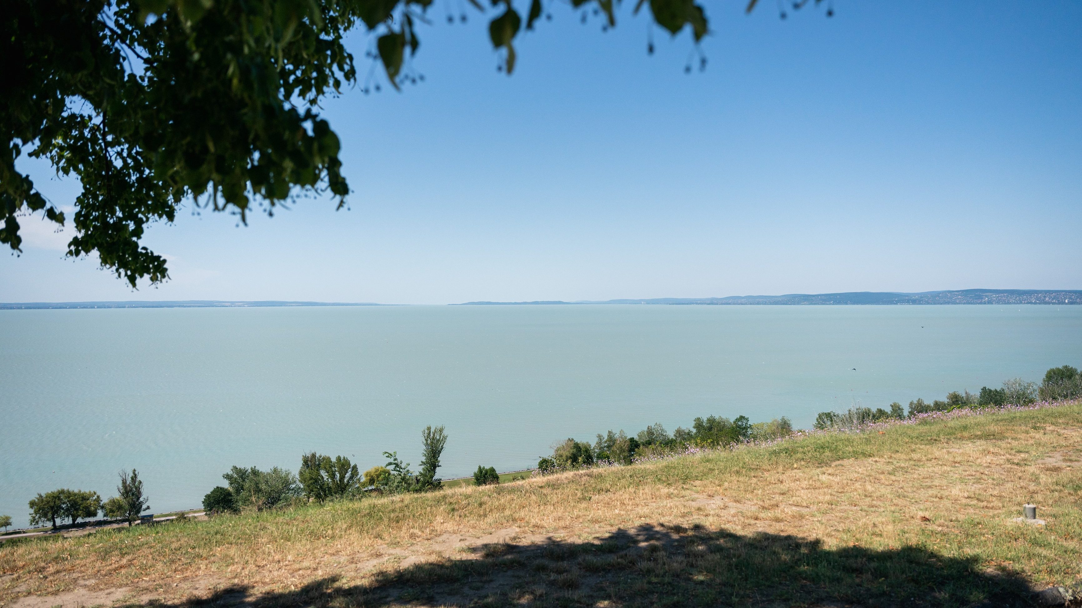 Csaknem tucatnyi embert mentettek ki tegnap a Balatonból