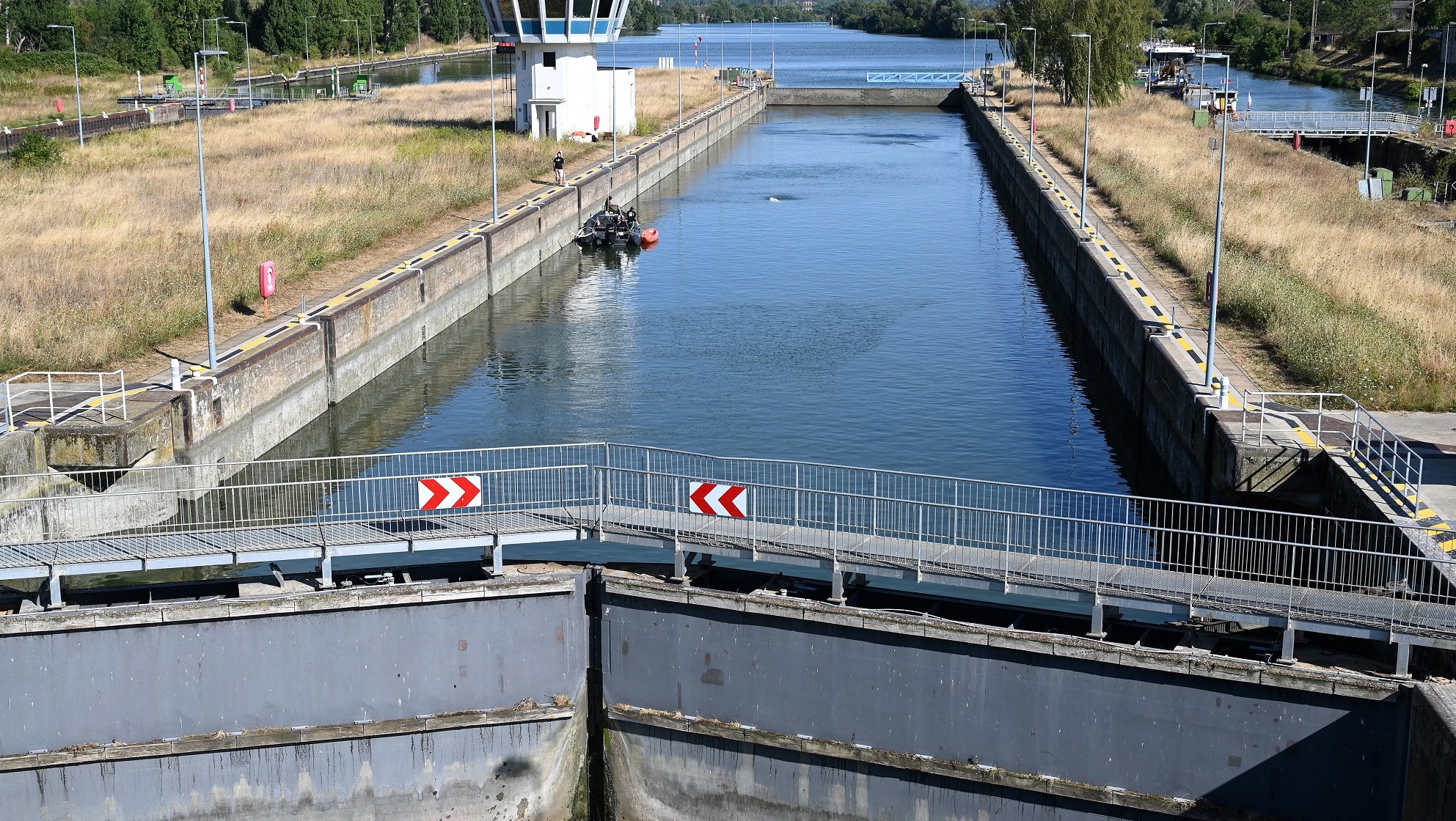 Kiemelik a Szajnába tévedt fehér delfint