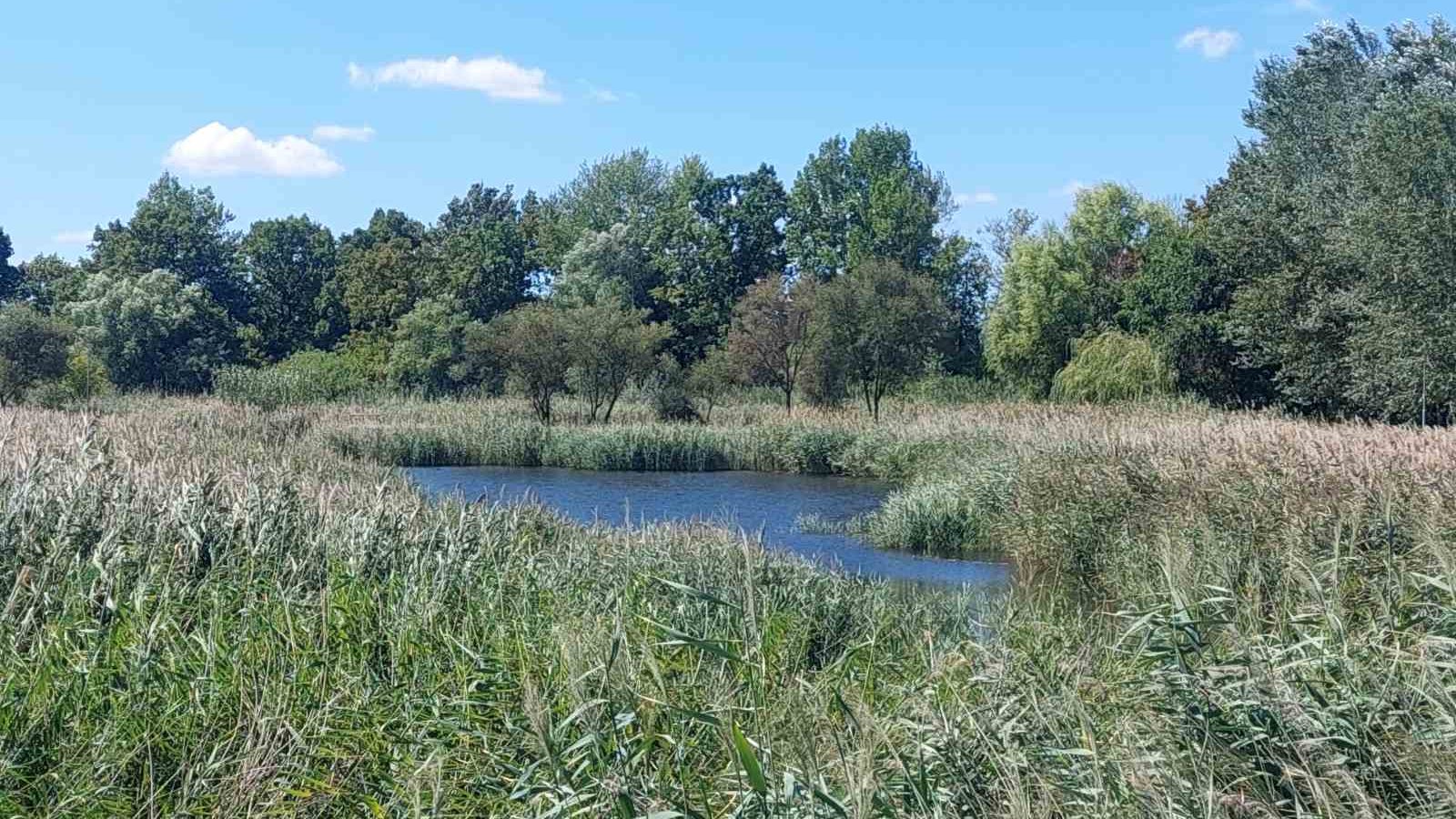 Végezni akart magával egy fiatal a tiszavasvári csónakázó tóban