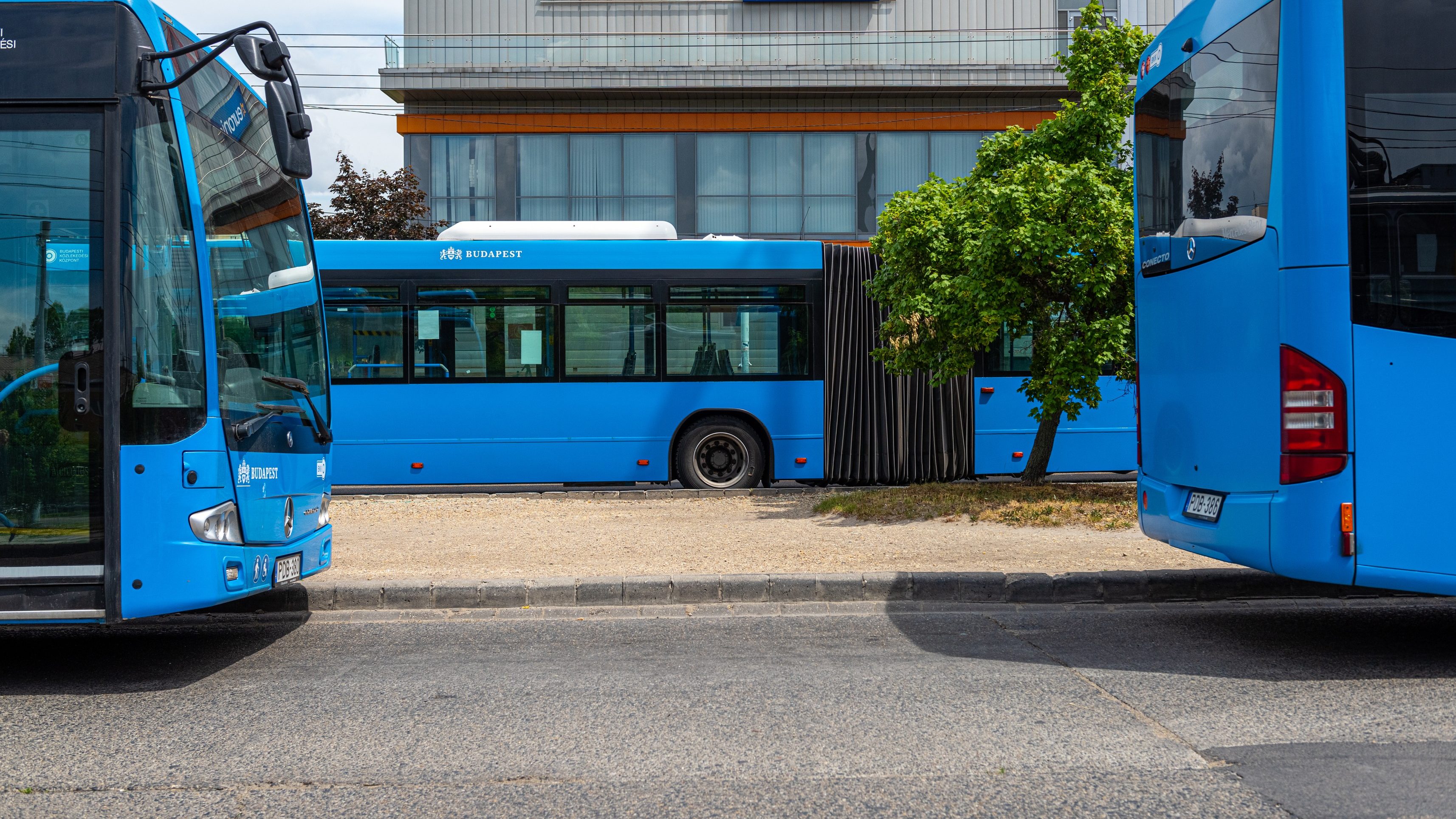 Megszüntetnek egy buszjáratot Budapesten