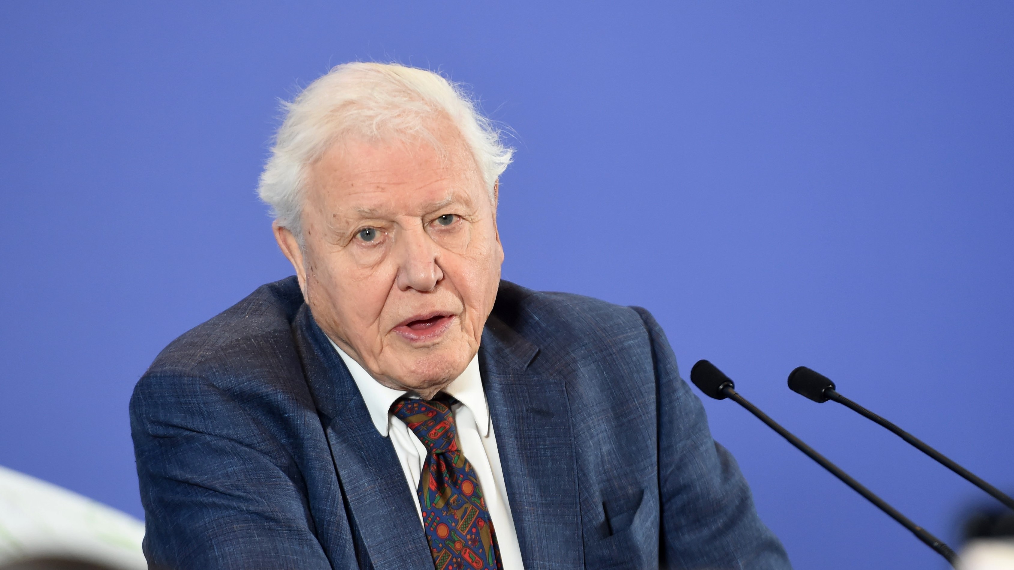 Kilencvenhat évesen is új sorozattal áll elő Sir David Attenborough