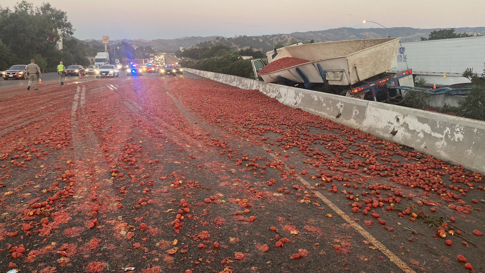 150 ezer darab paradicsom ömlött ki az autópályára Kaliforniában