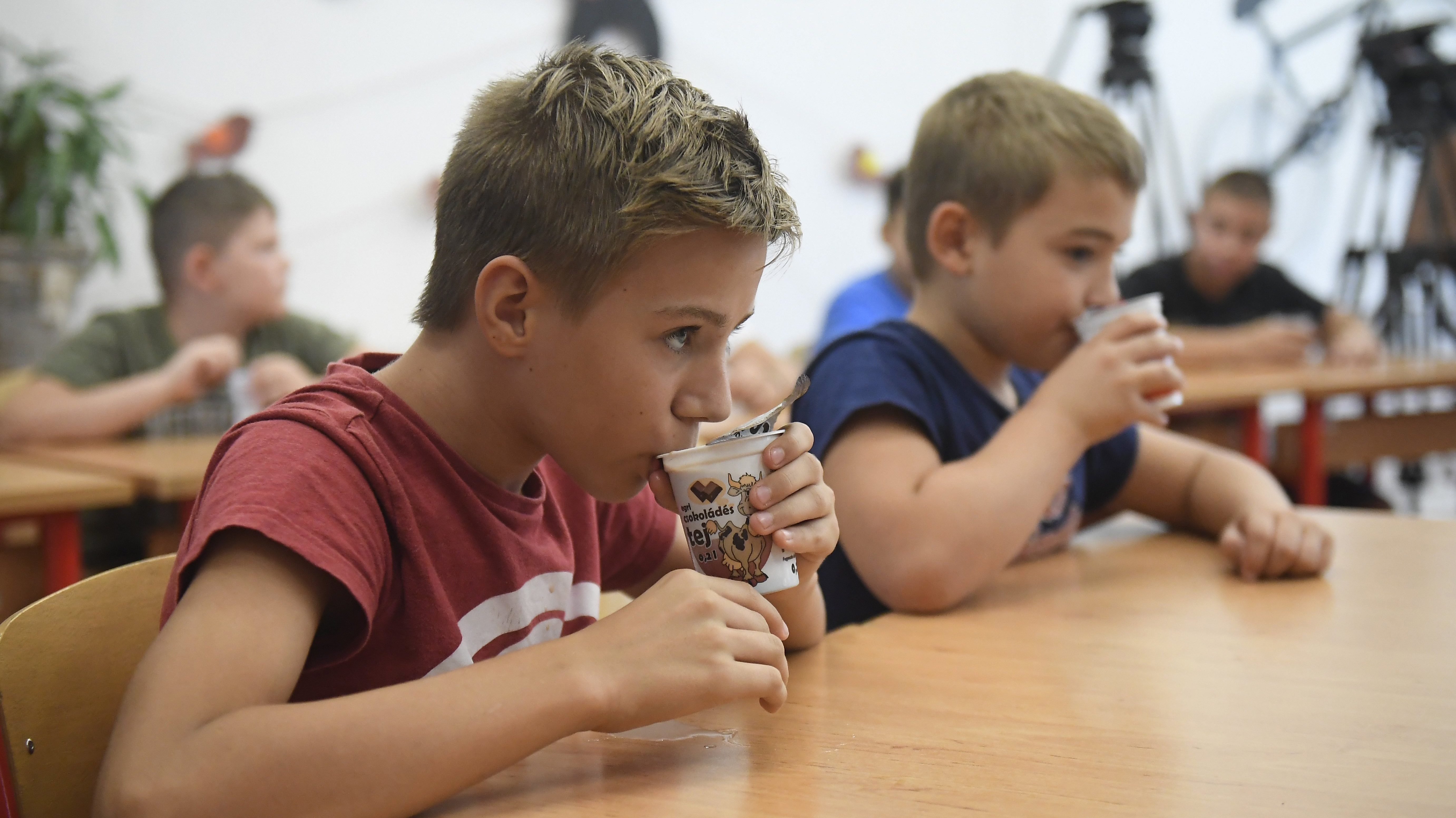 Két cég nem szállít tejet az iskoláknak, elapadt az állami támogatás