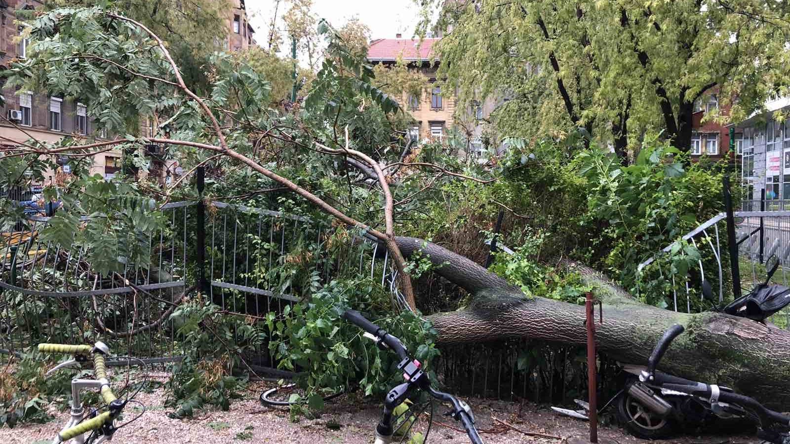 Letarolta a vihar Budapestet